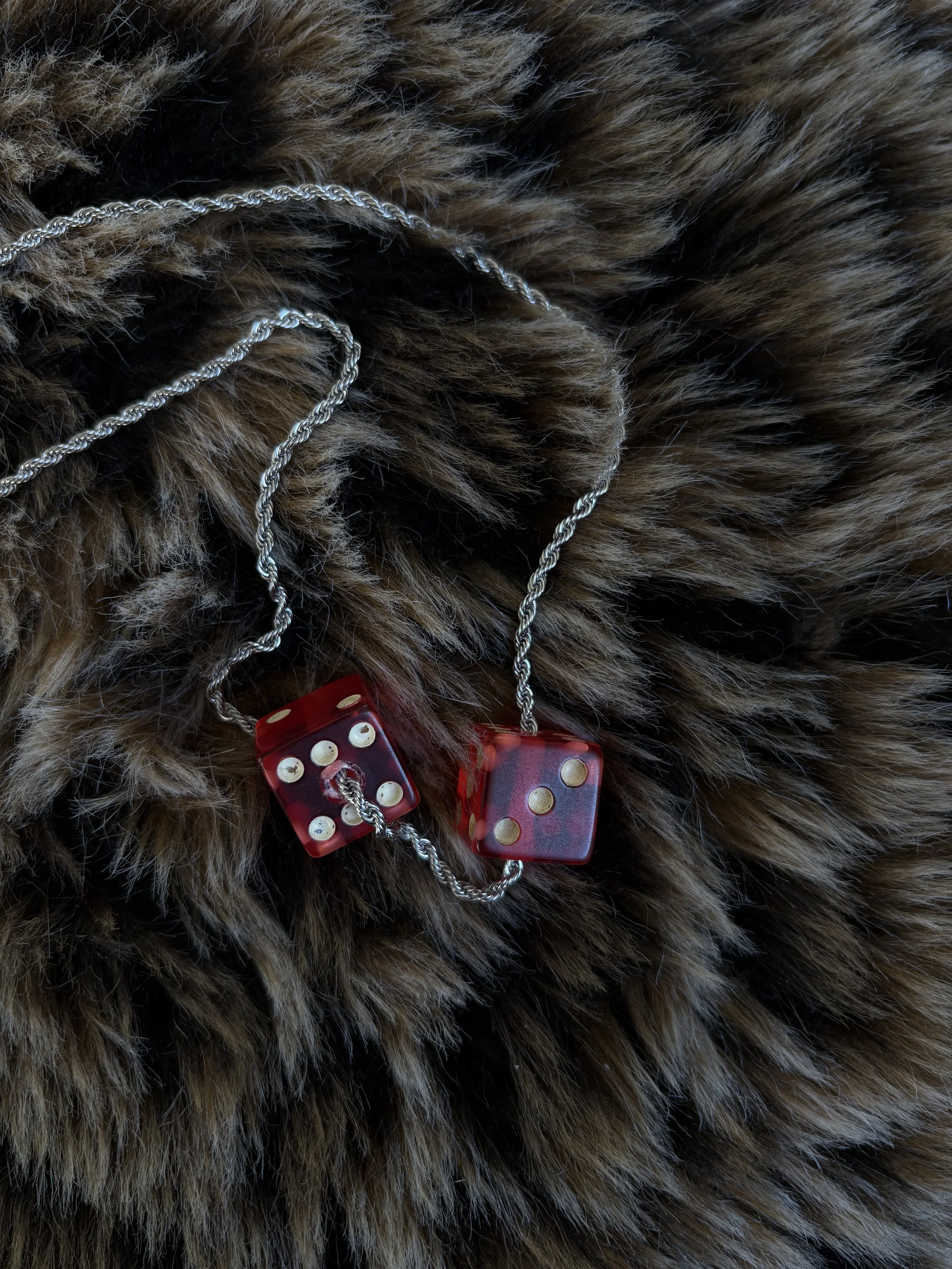 Photo Feb 11 2026, 4 42 46 PM.jpg