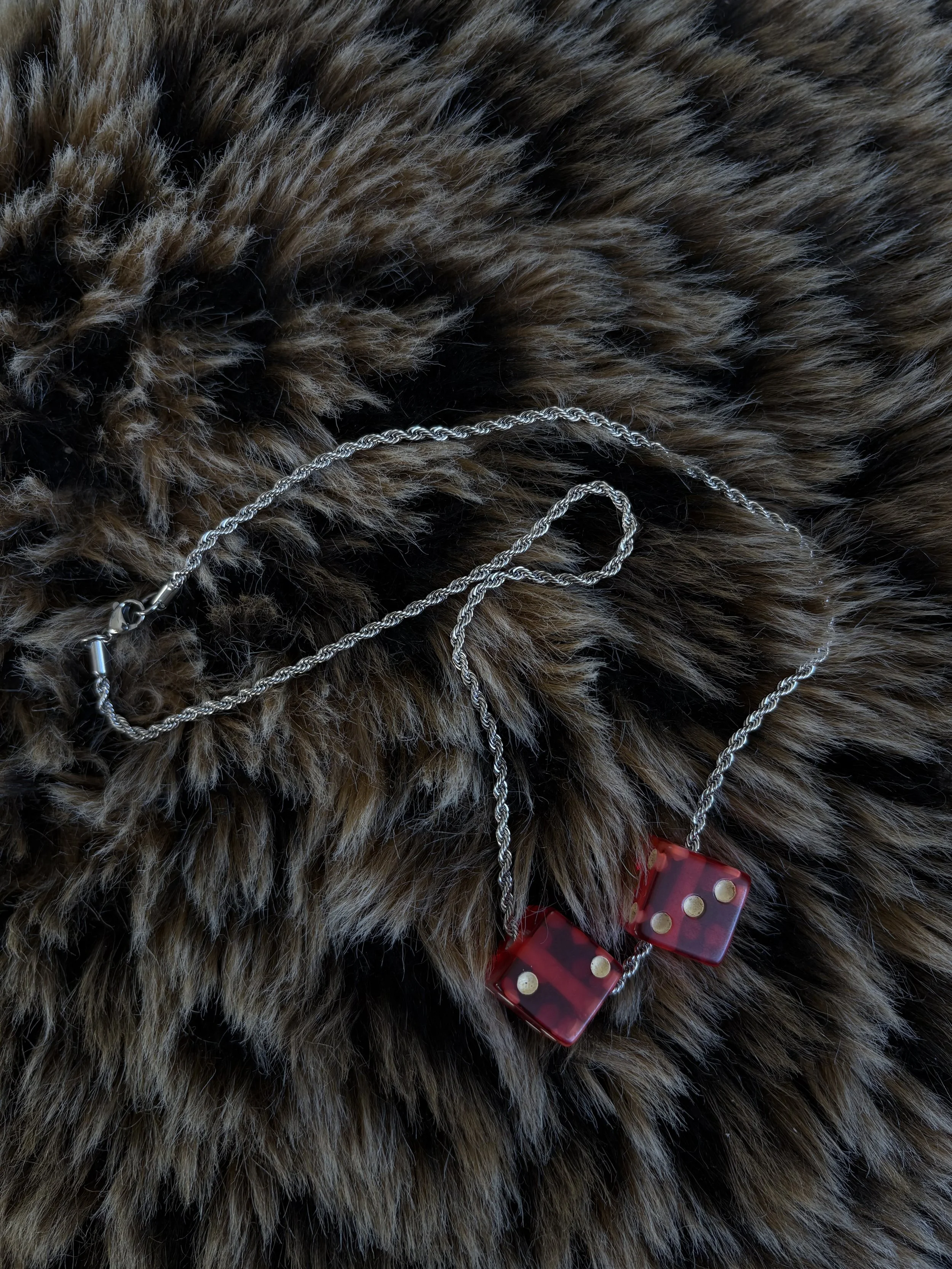 Photo Feb 11 2026, 4 42 18 PM.jpg