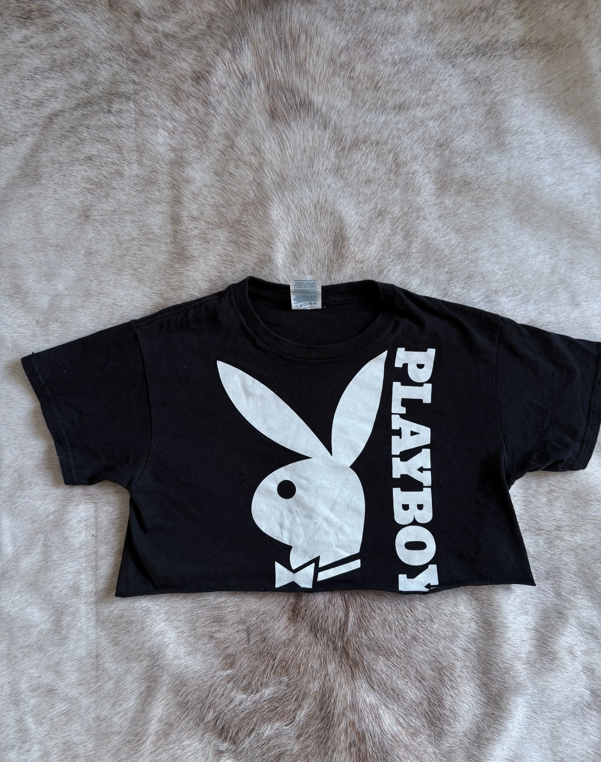 Photo Feb 11 2026, 5 31 12 PM.jpg