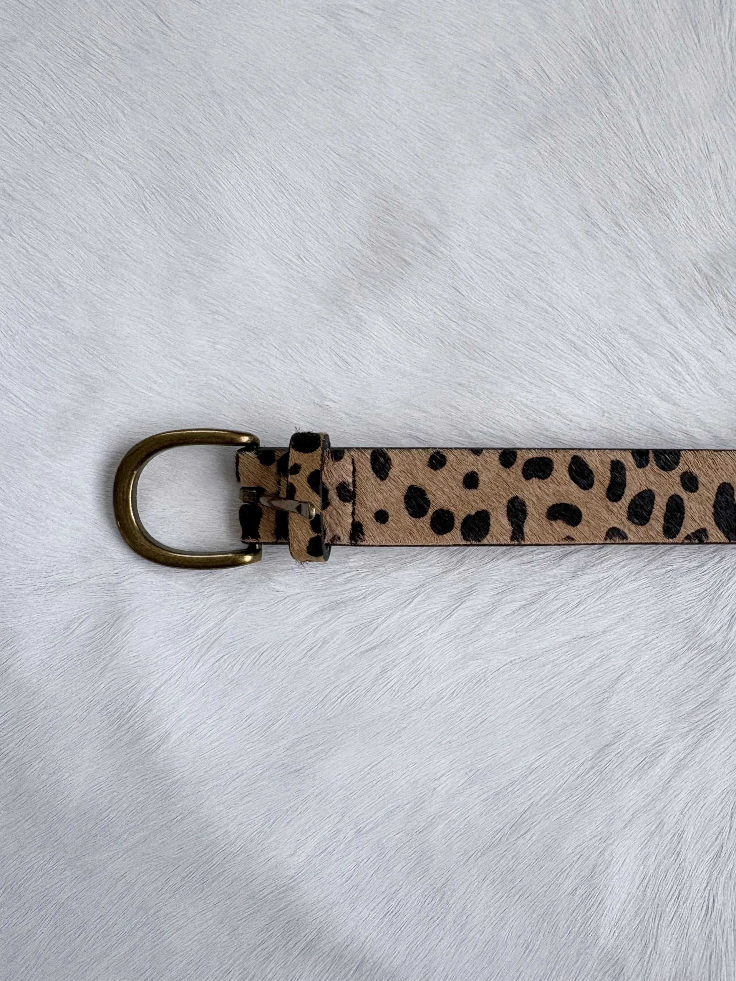 Photo Jan 15 2026, 2 51 44 PM.jpg