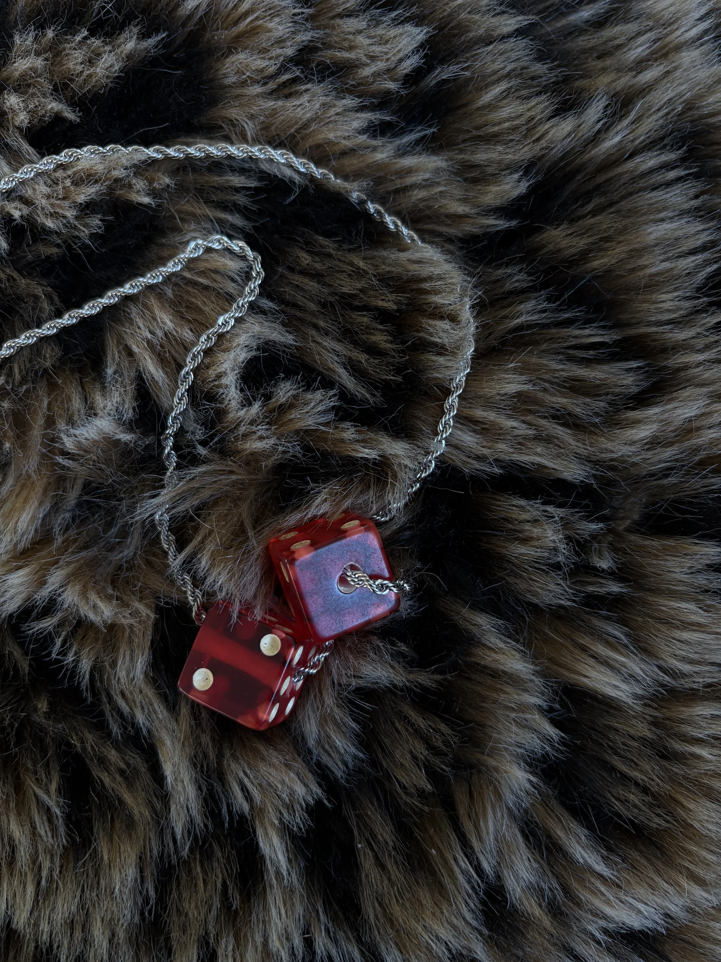 Photo Feb 11 2026, 4 42 55 PM (1).jpg