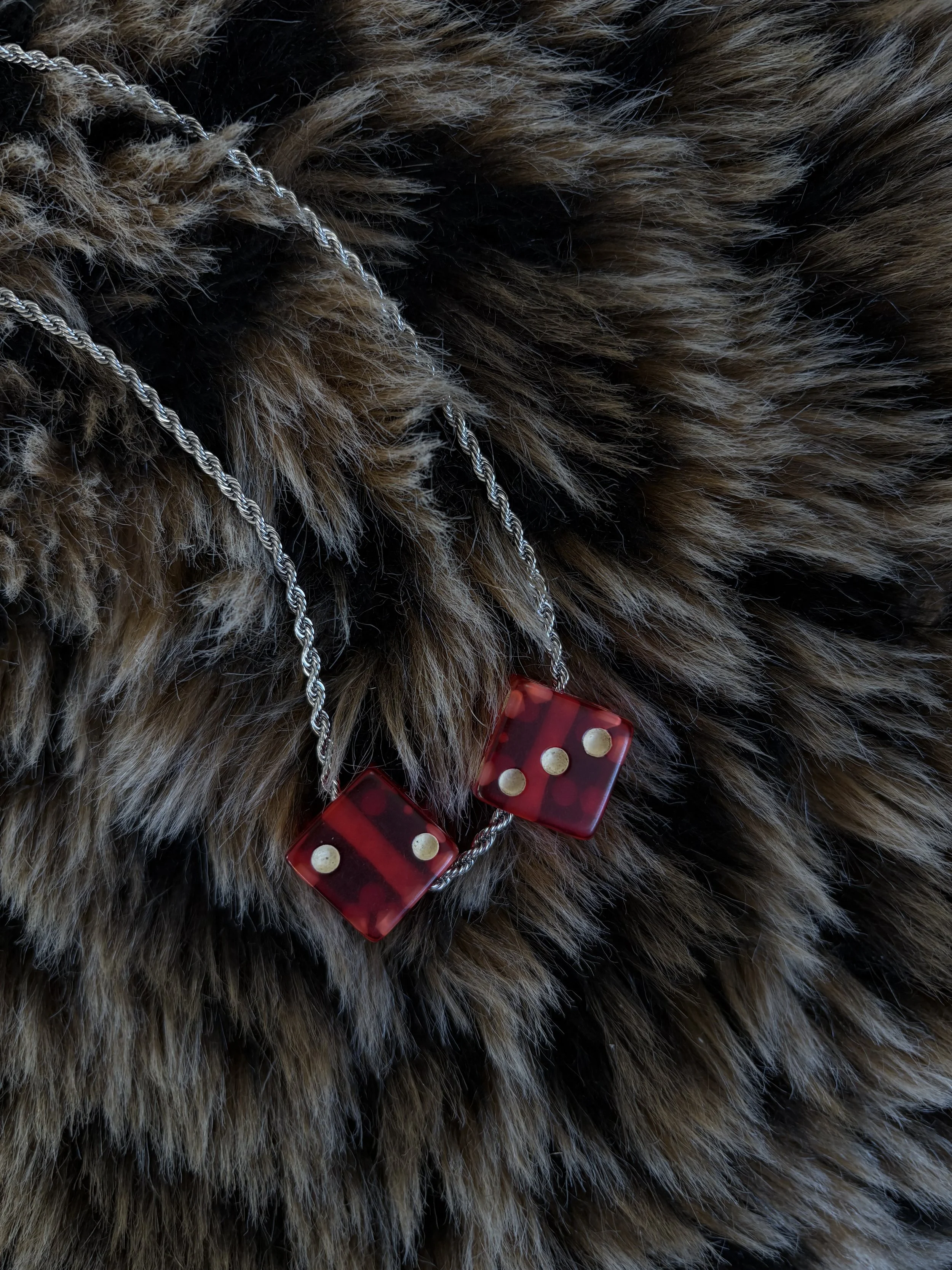 Photo Feb 11 2026, 4 42 10 PM.jpg