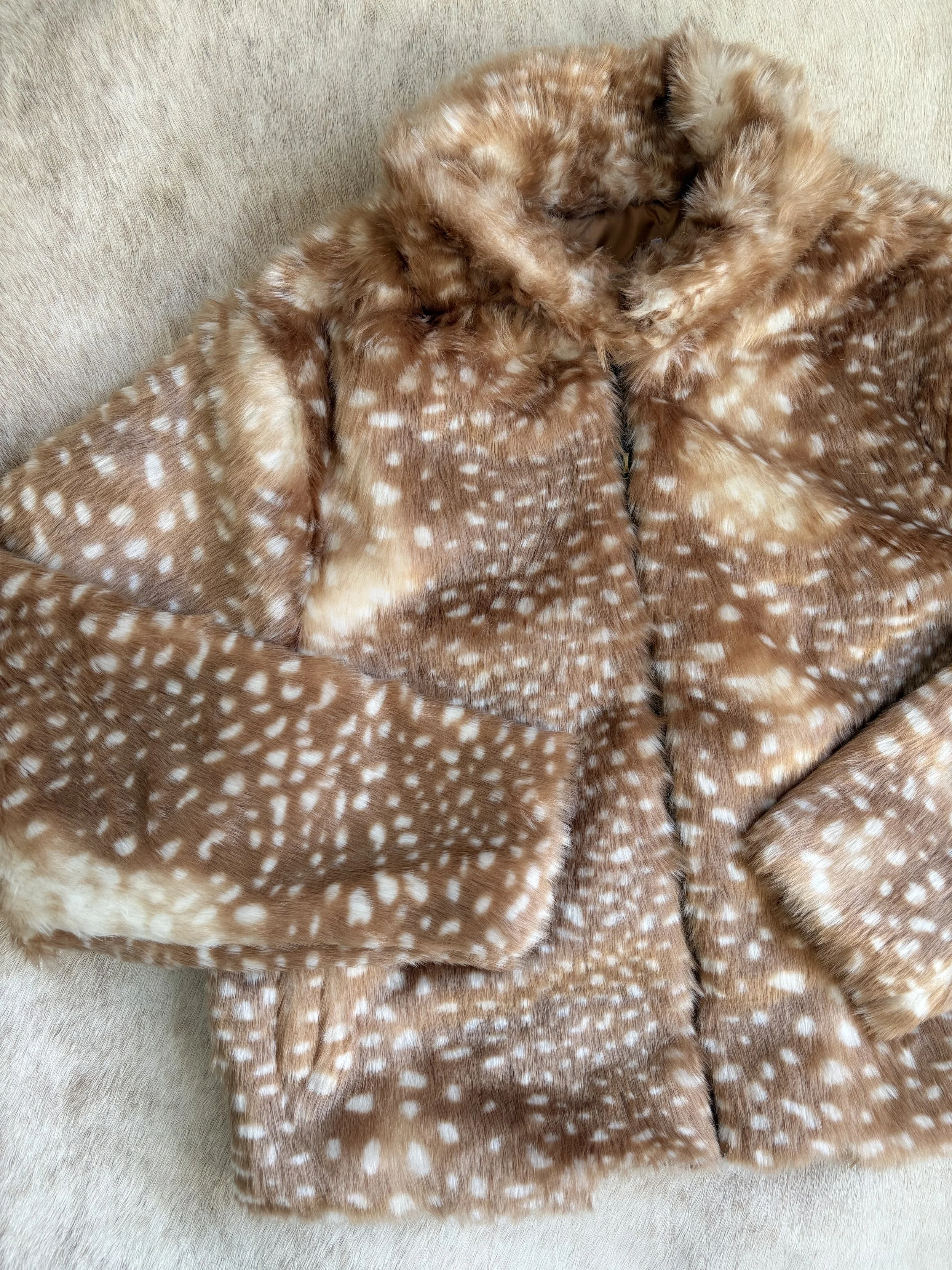 Photo Dec 19 2025, 3 30 59 PM.jpg