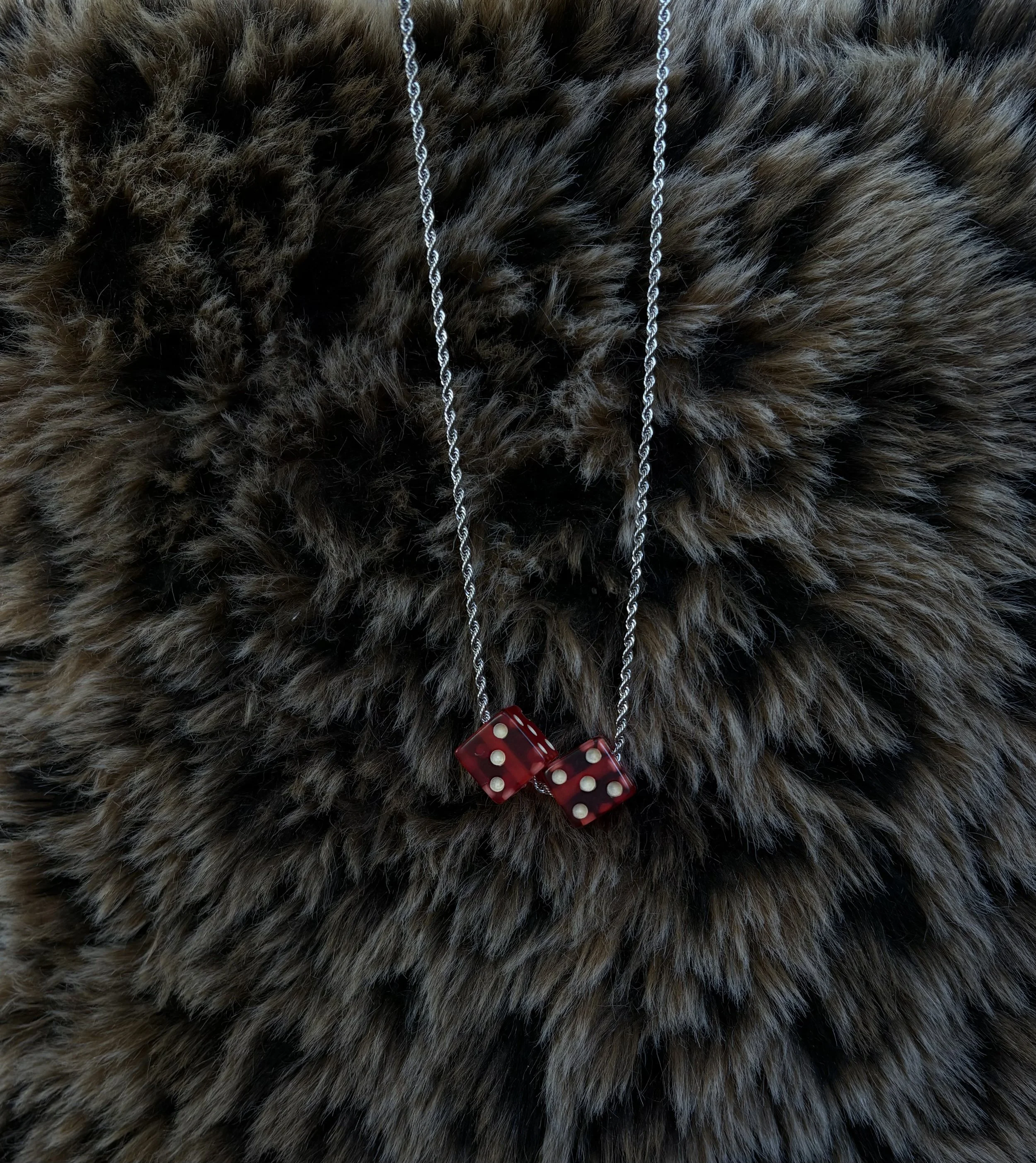 Photo Feb 11 2026, 4 41 33 PM.jpg