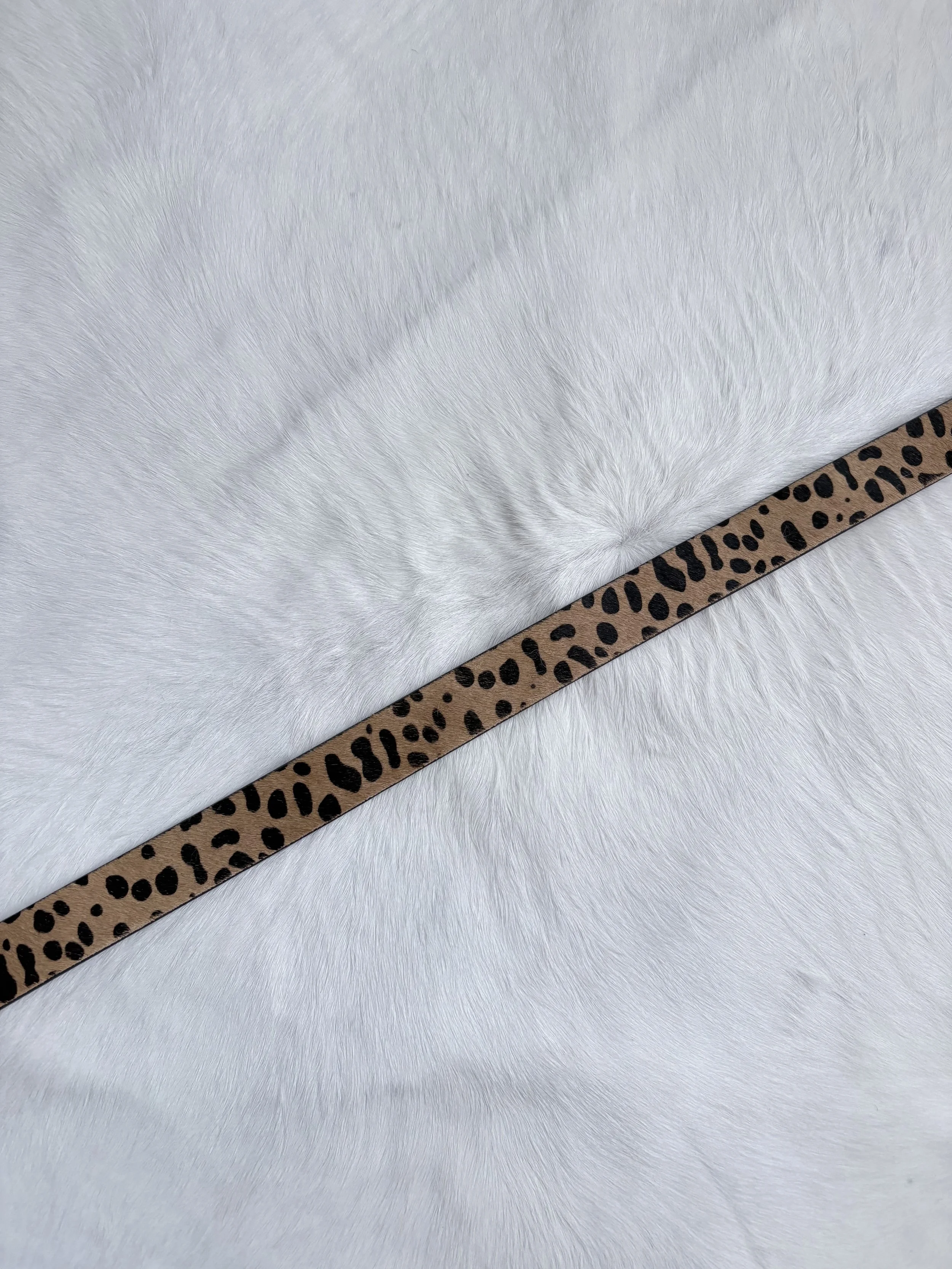 Photo Jan 15 2026, 2 51 48 PM.jpg