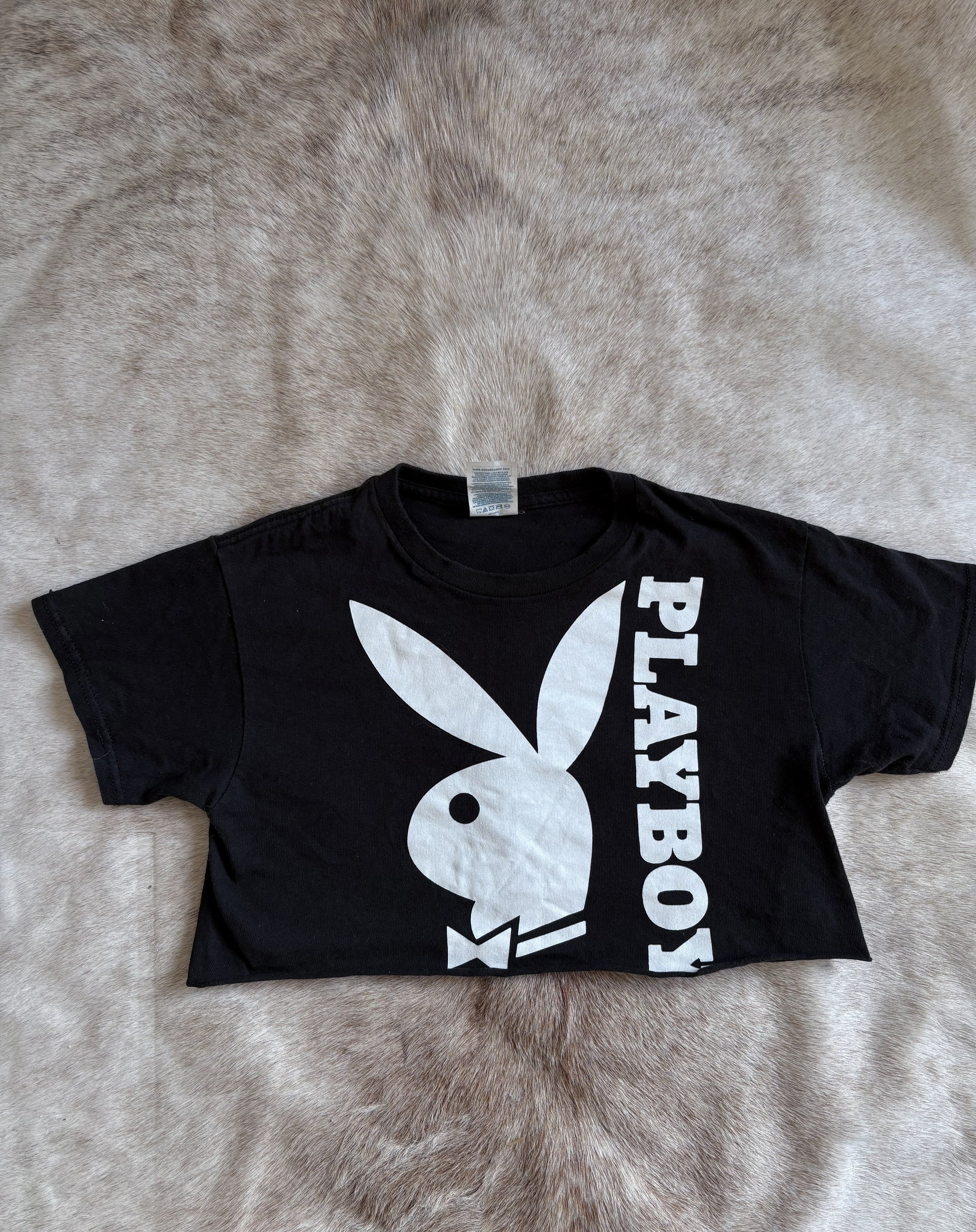 Photo Feb 11 2026, 5 31 14 PM.jpg