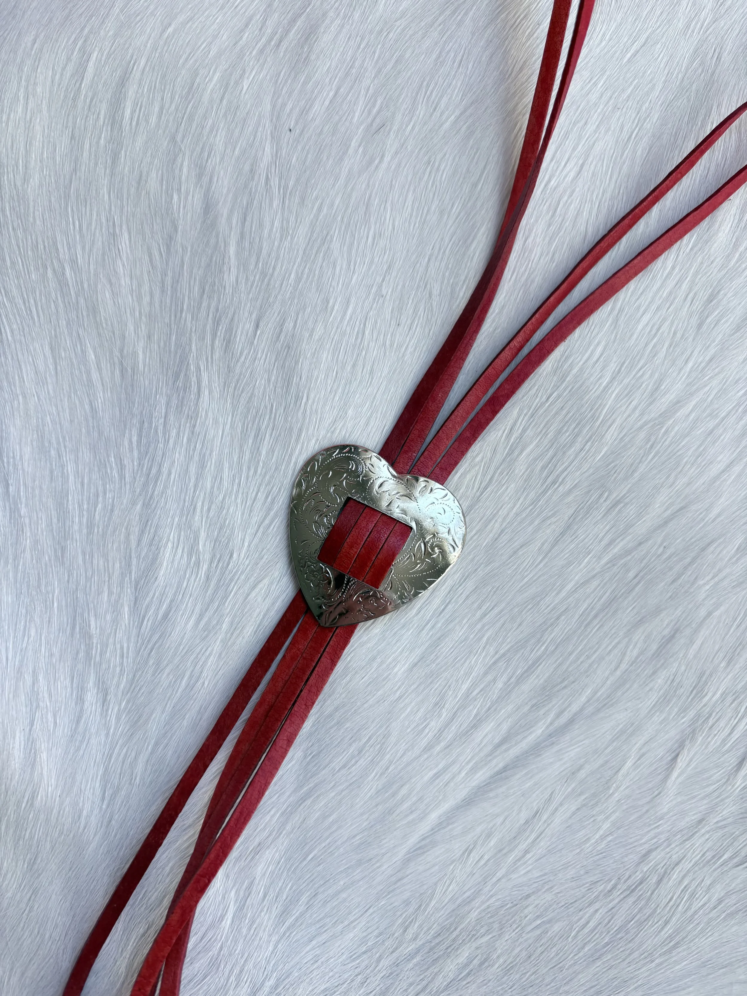 Photo Mar 18 2026, 3 30 48 PM.jpg