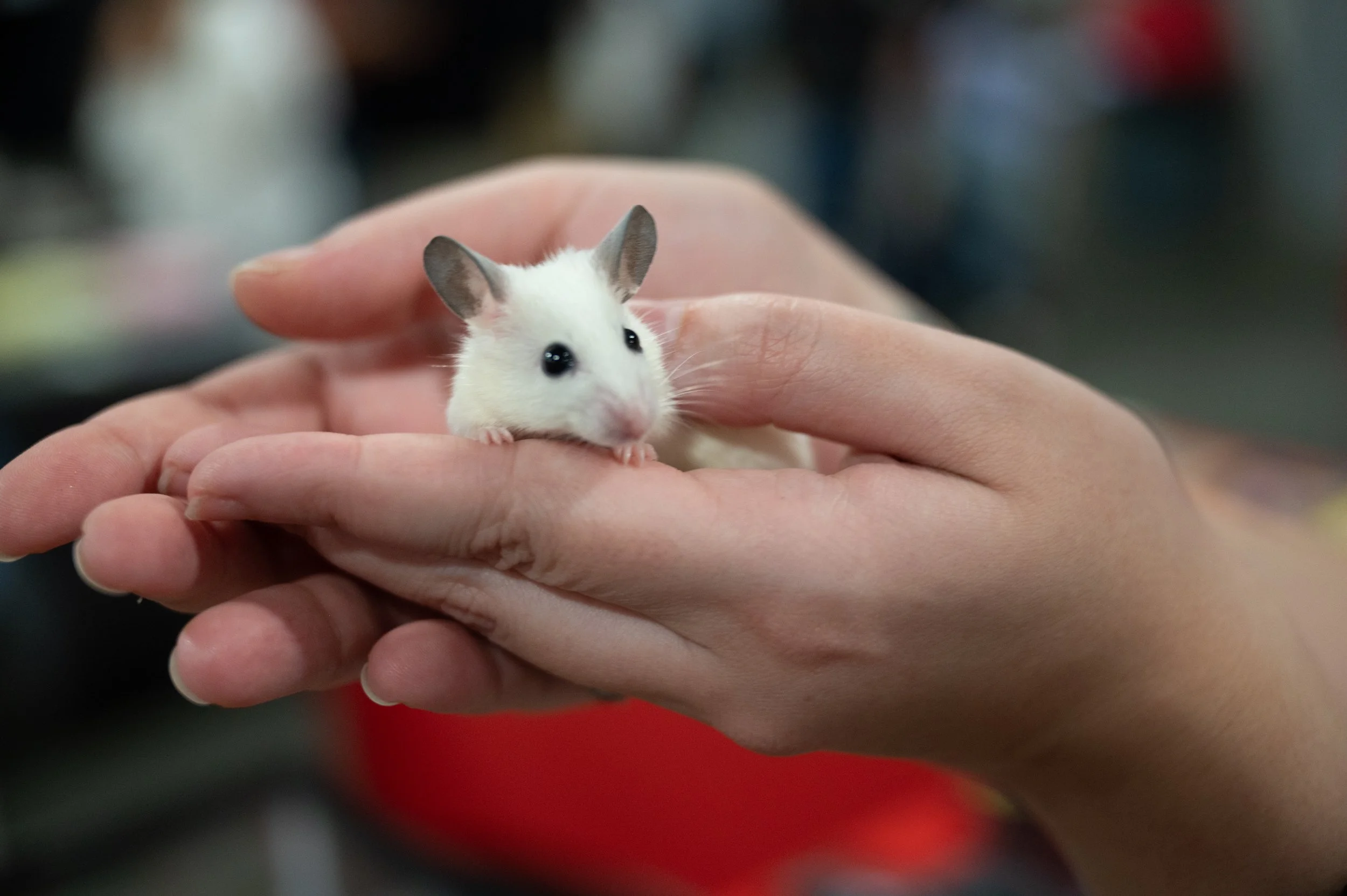 Nashville Exotic Animal Expo-7949.jpg