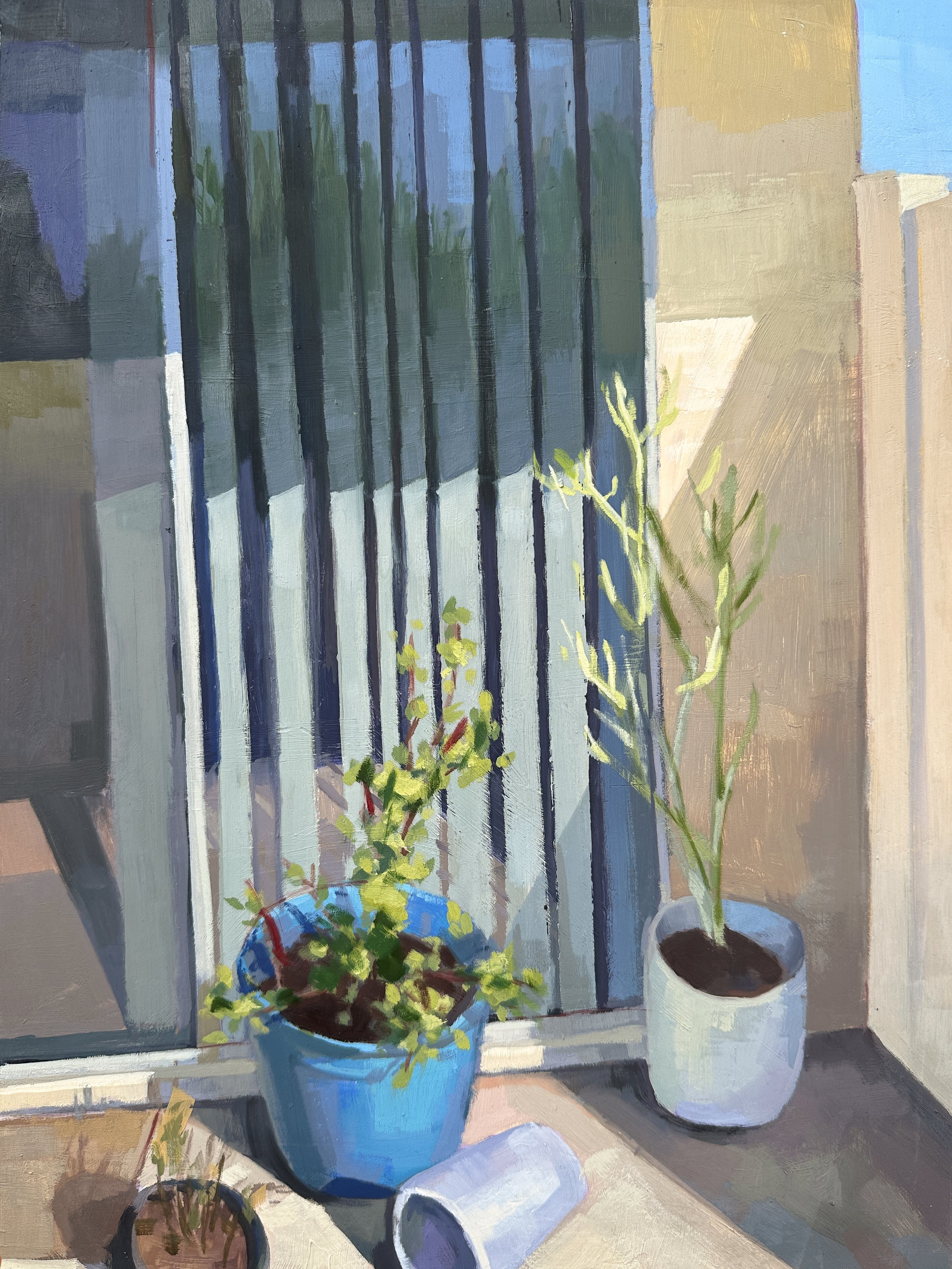 Patio.jpg