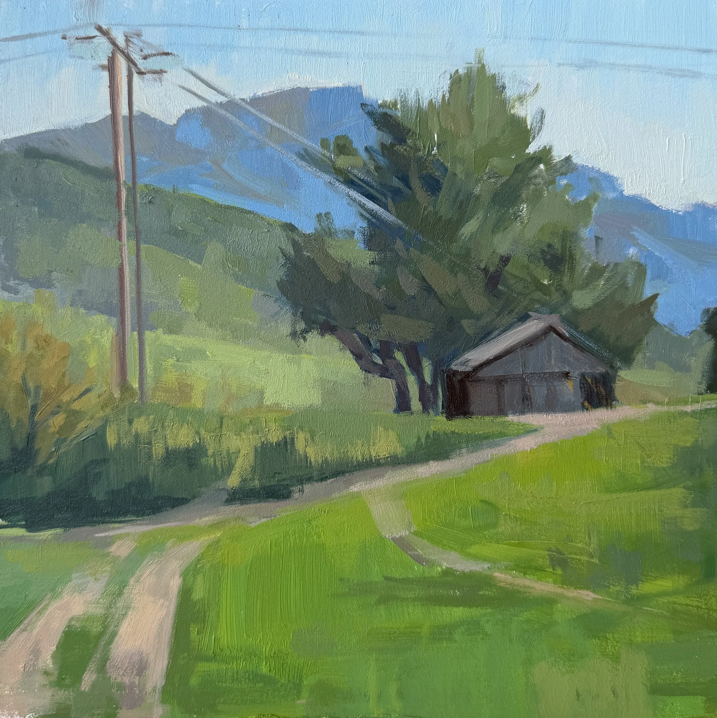 Tiny Cabin