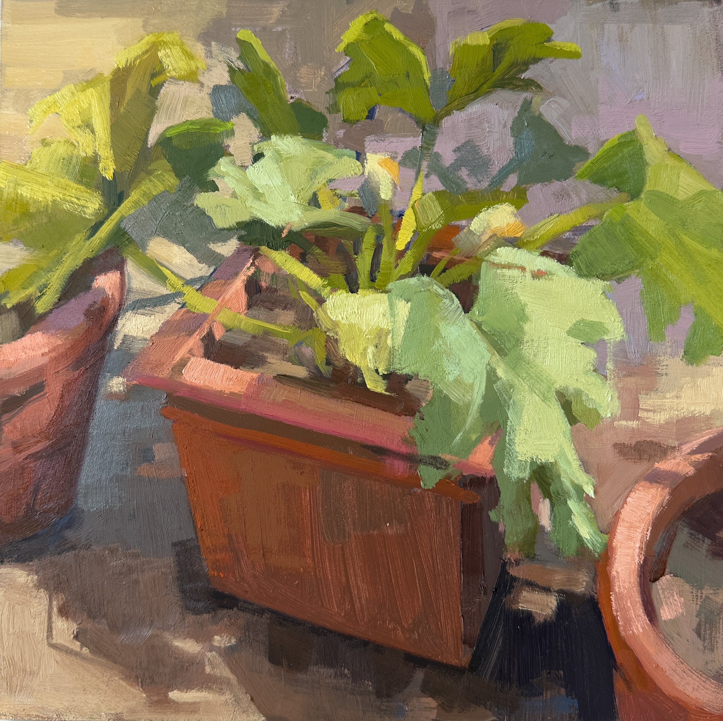 "Zucchini Plant", Oil on wood panel 8"x 8"