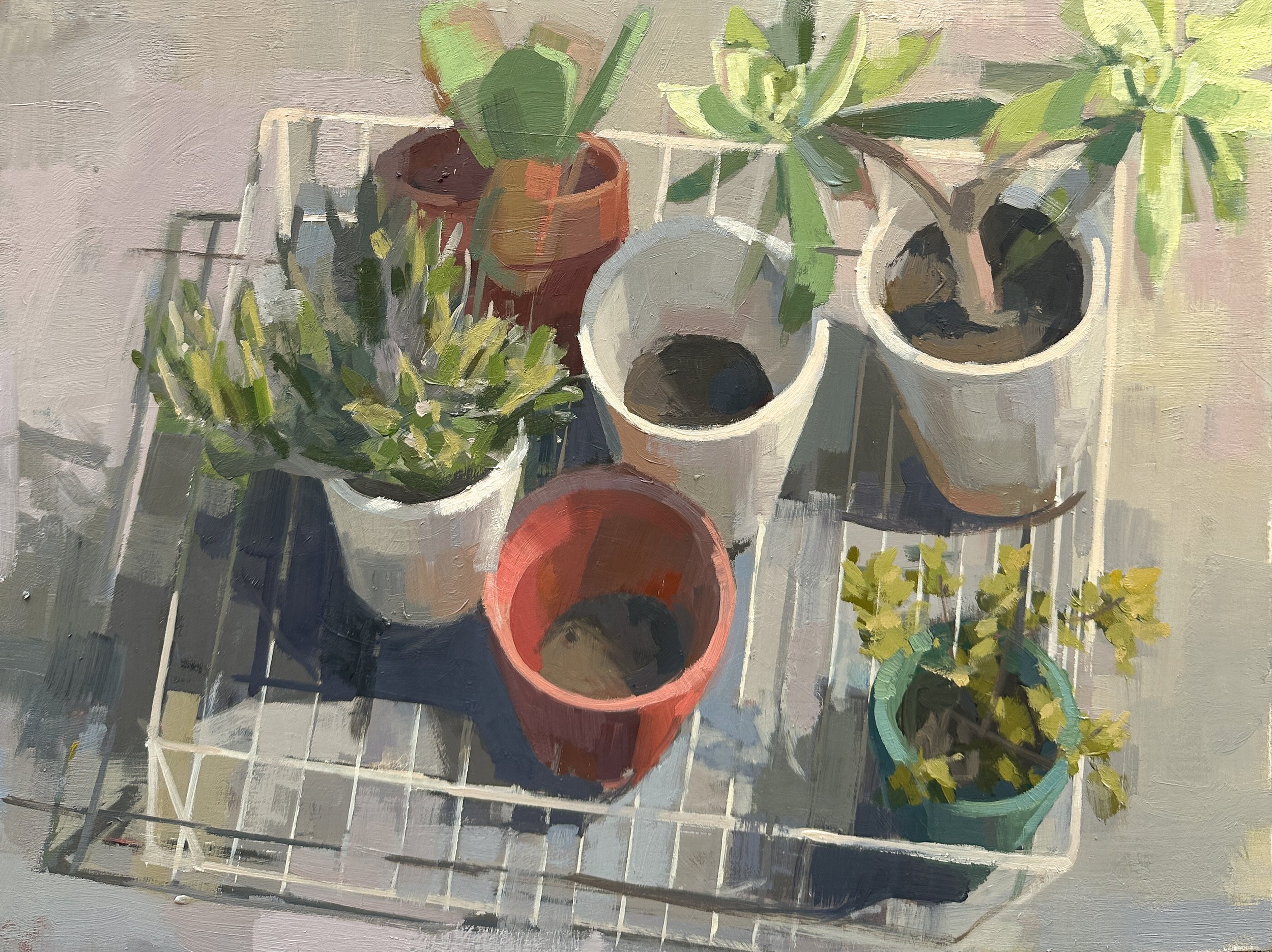"Plants in a Wire Basket" Oil on wood 12"x 16"