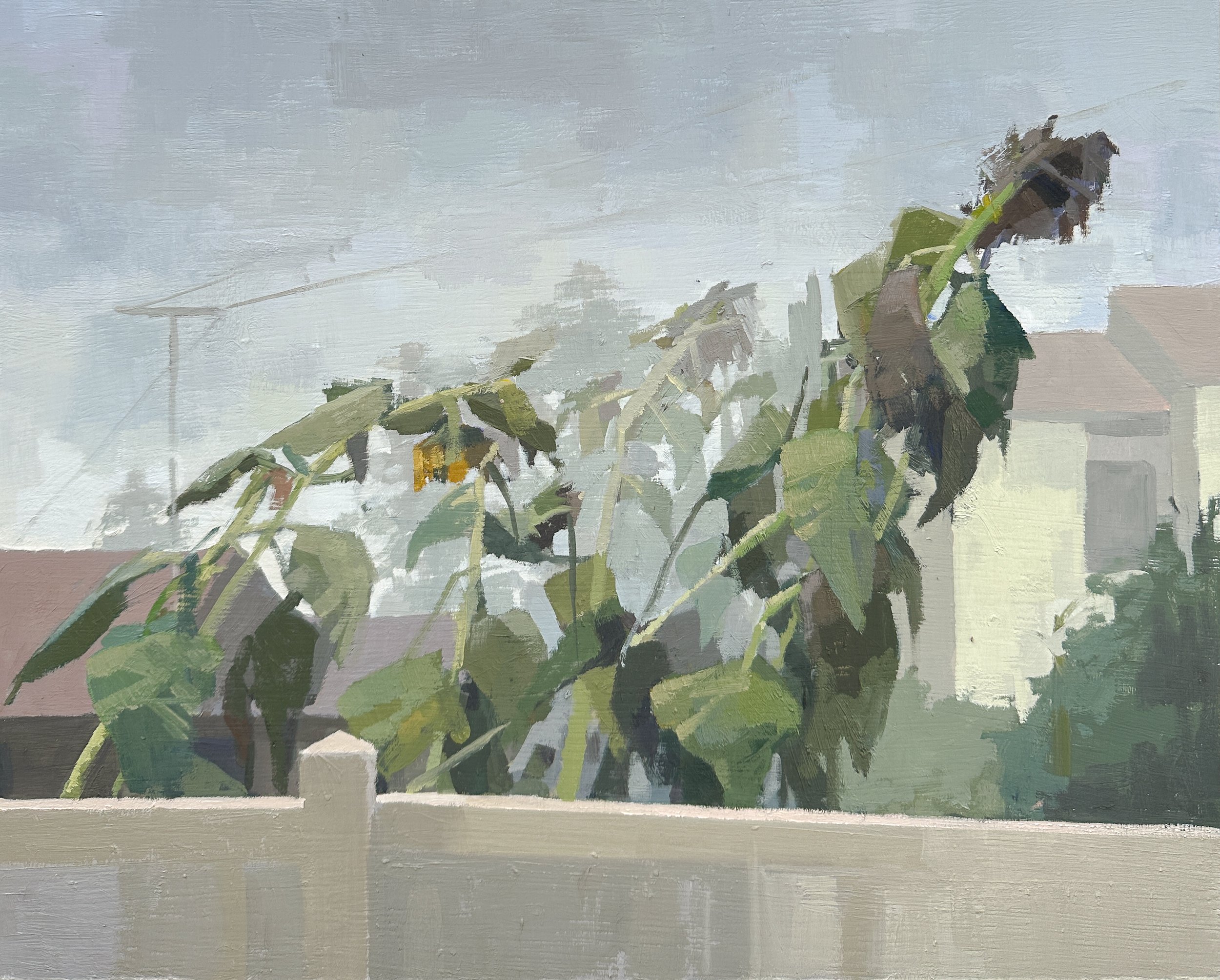 Sunflower Skeletons