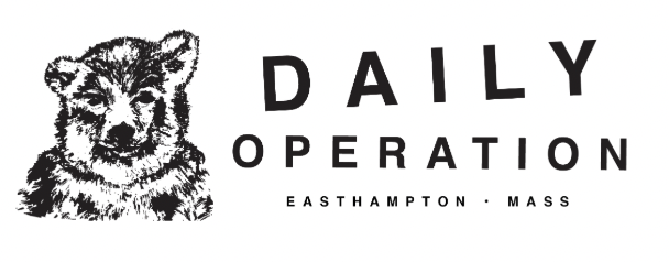 Logo for Daily Operation, featuring a drawing of a tiger's face and the text 'Daily Operation' with location 'Easthampton, Mass'.