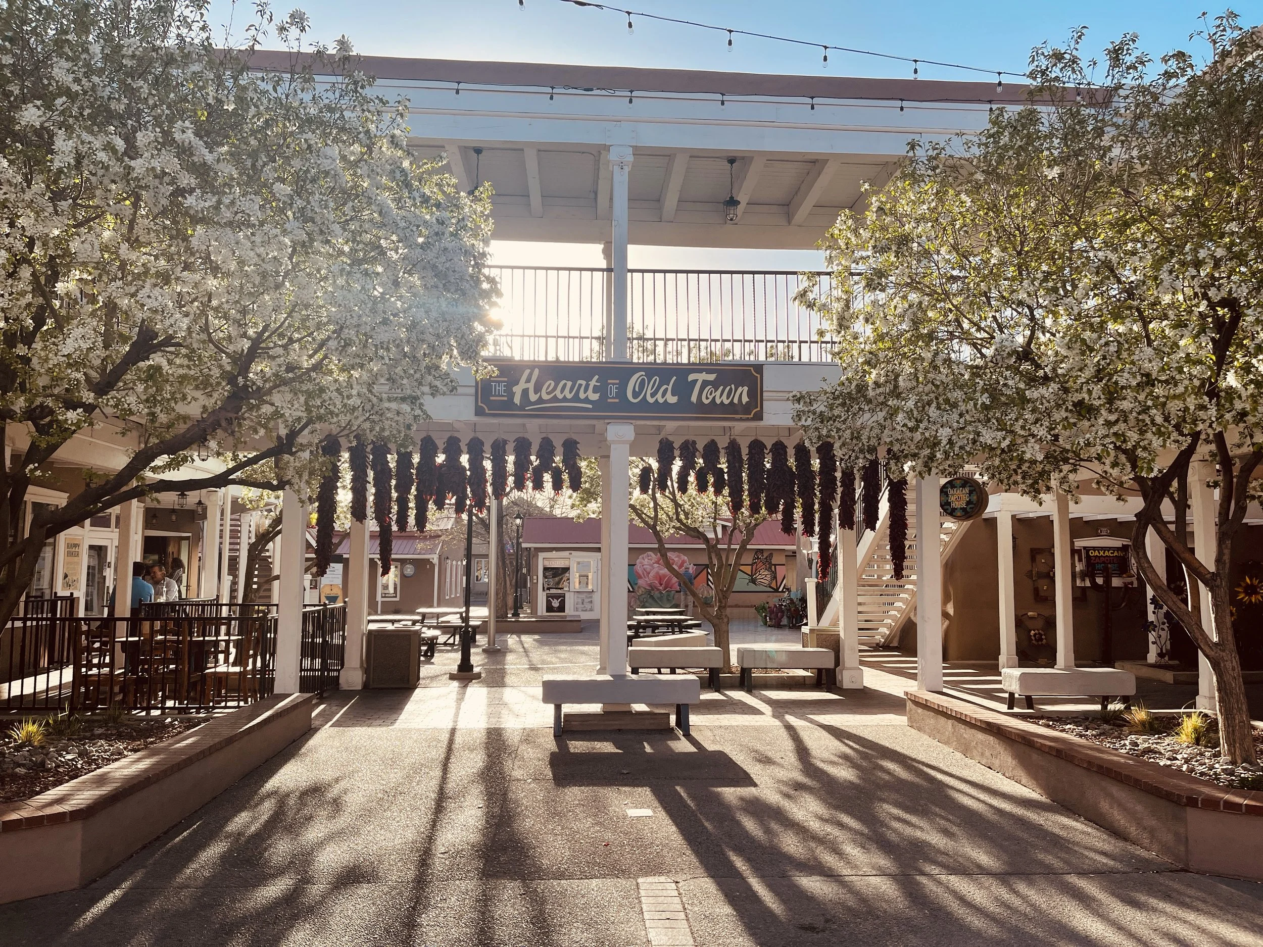 Events Calendar PDL ABQ