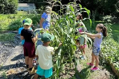 Children and adults picking corn in a garden.