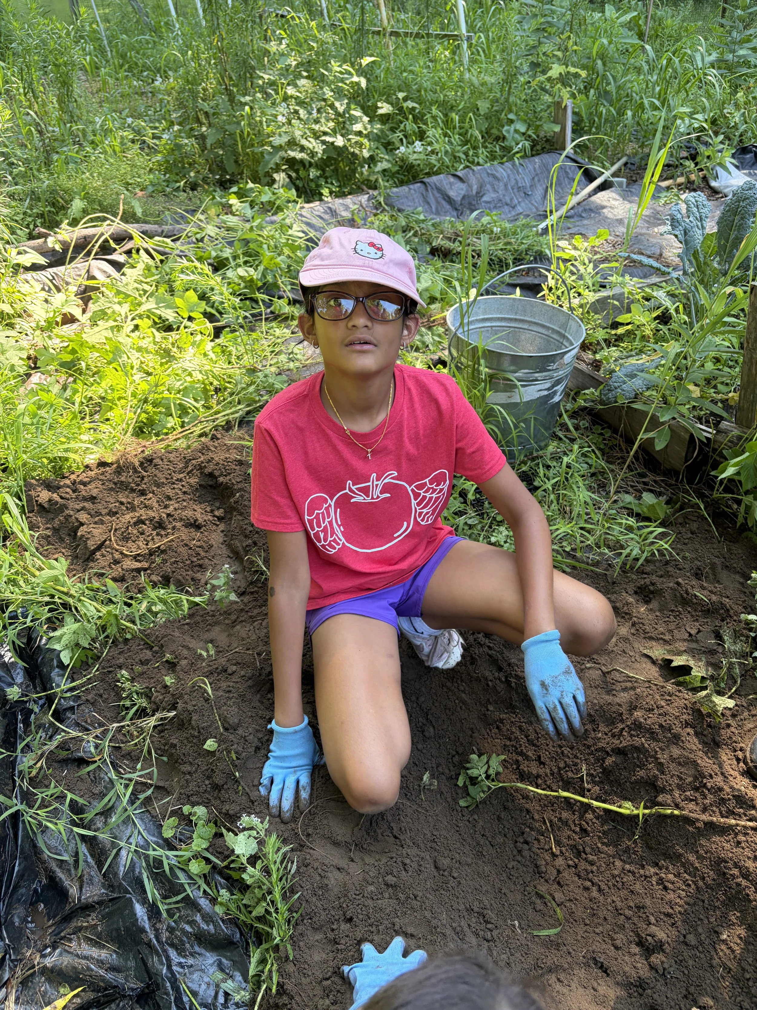 Campers ages 6-11 learn new skills and get to play at the nature based Farm camp
