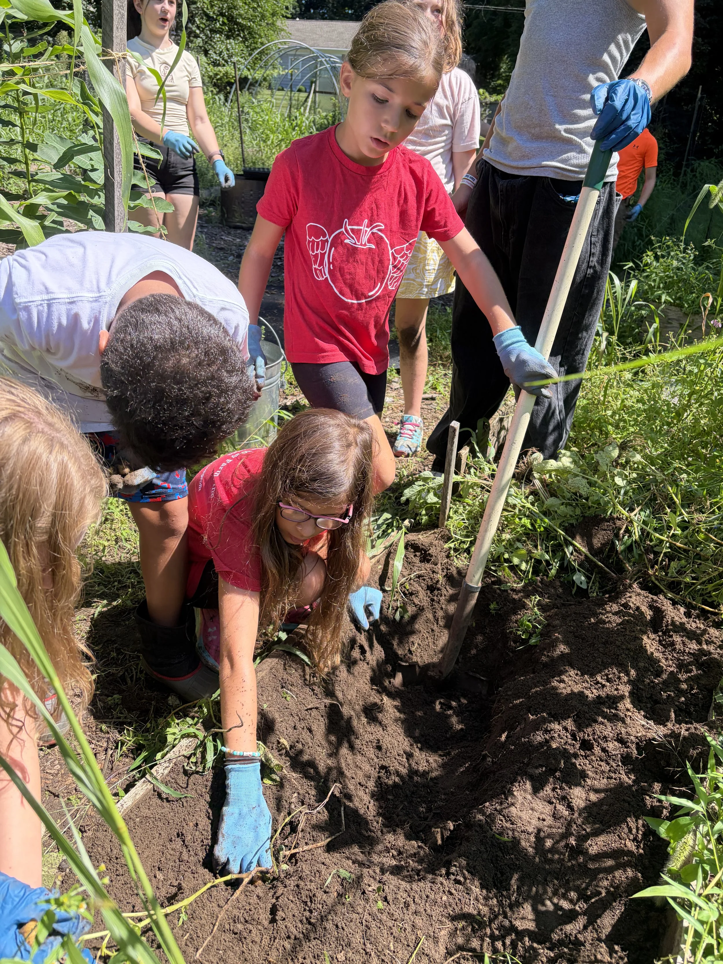 Kids enjoy digging in the dirt at M&J On The Way Farm, Inc. Farm Camp