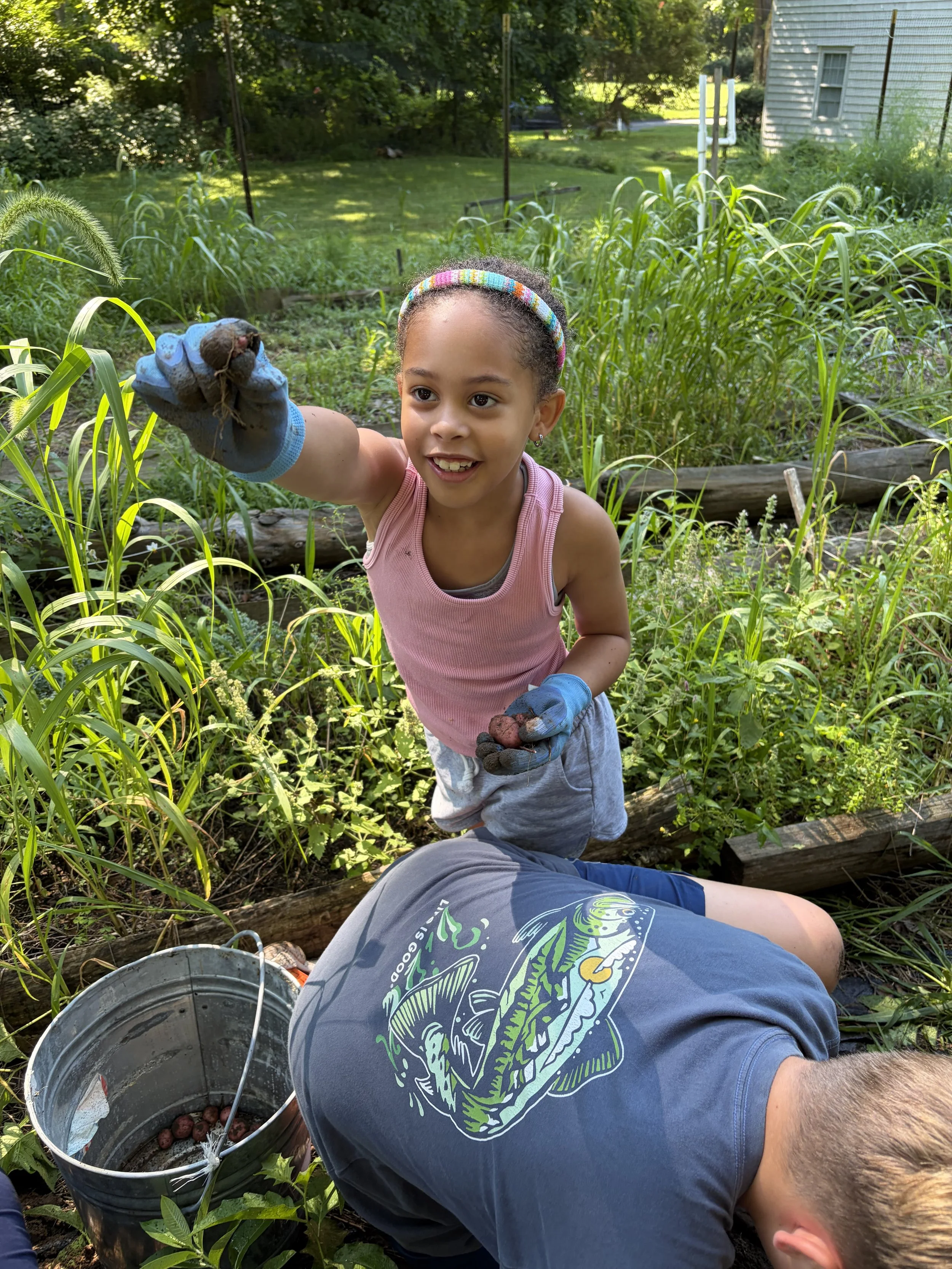 A young girl in a pink tank top and gray shorts is holding a handful of freshly dug potatoes in a garden. She is wearing a colorful headband and blue gardening gloves. Another person, partially visible, is kneeling in front of her, wearing a gray t-s