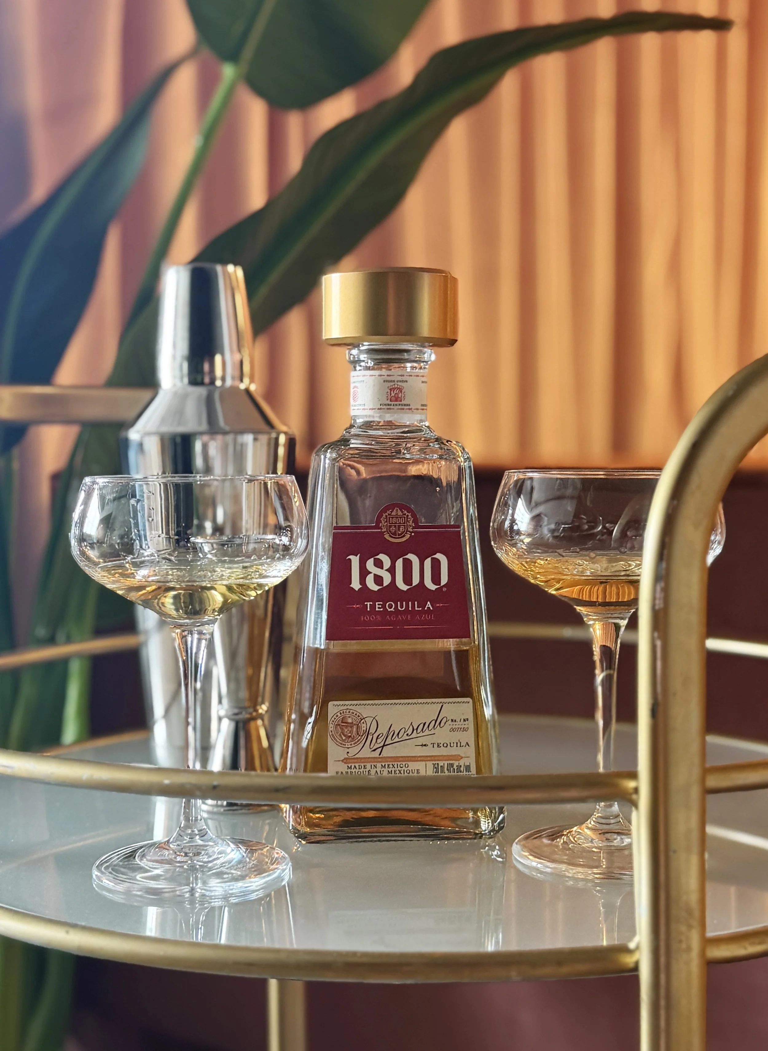 behind the scenes - montreal boudoir - tequila.jpg