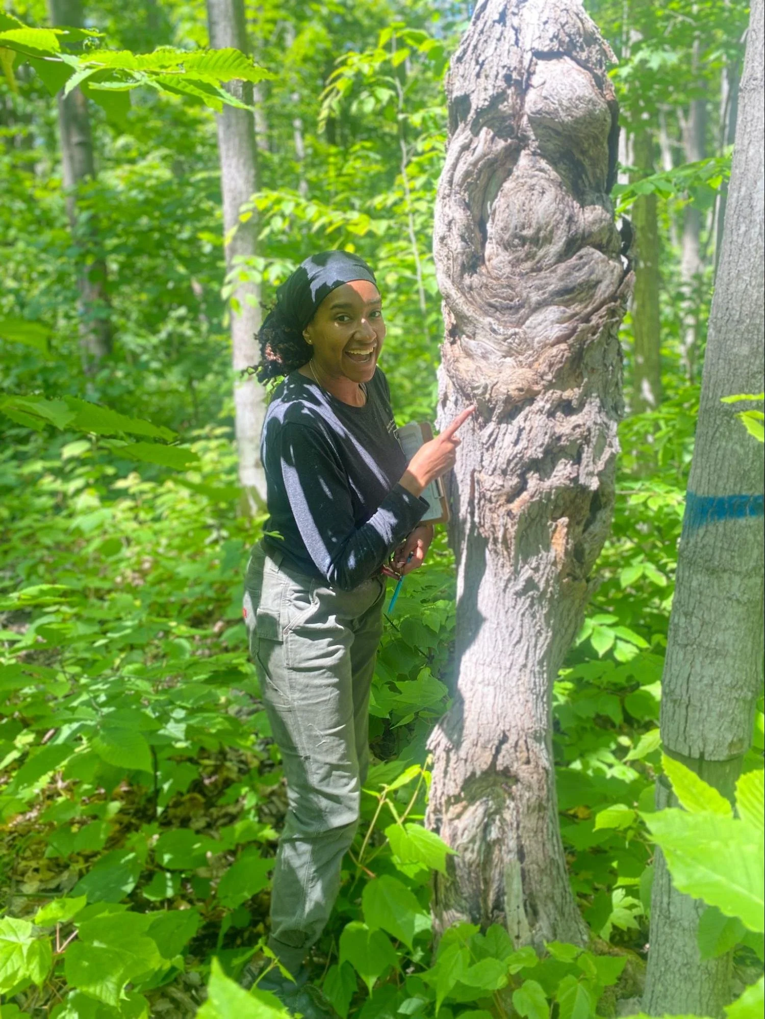 Ariel Johnson — HOME