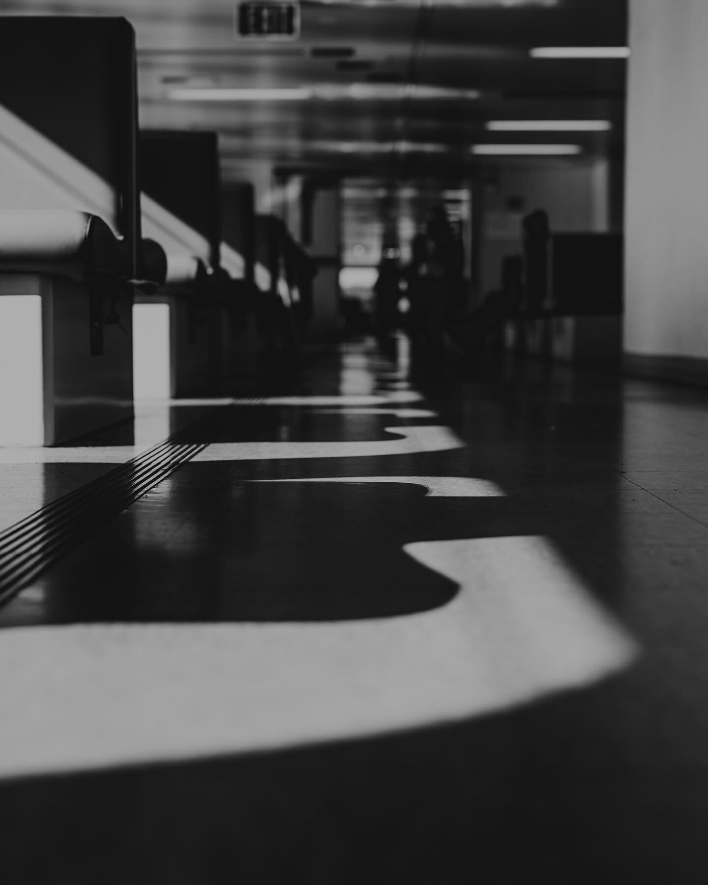 Ferry shadows&hellip;I had the pleasure of joining a group of fellow Seattle area click pros on a ferry ride and photo walk on Bainbridge island earlier this week. It was so fun to connect with such a talented group of women. Looking forward to the n