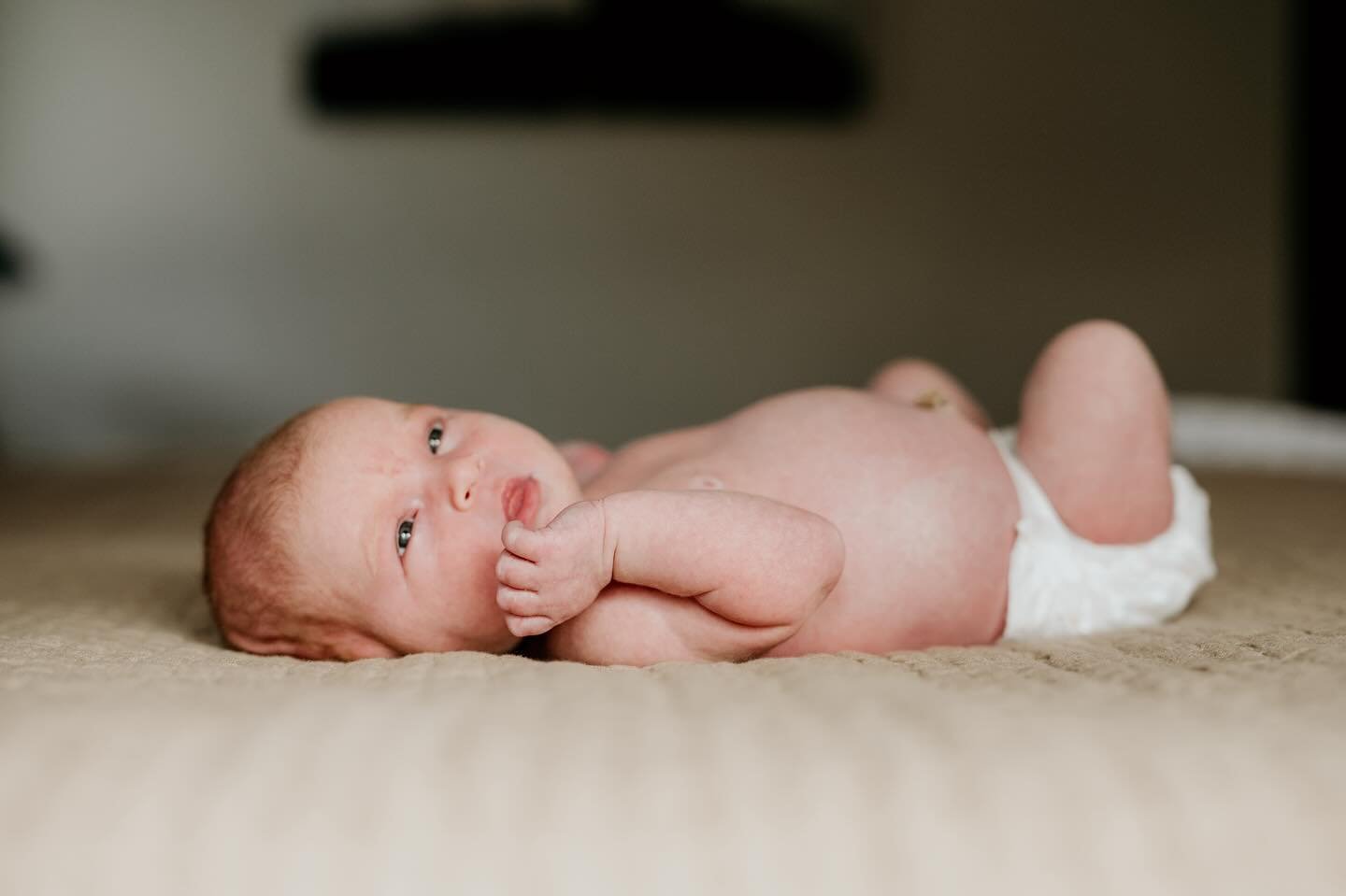In my opinion, the best way to capture the details of your new baby is simply. No props or poses. Just your perfect new babe as they are. ☺️

#seattlenewbornphotographer 
#bellevuenewbornphotographer #issaquahnewbornphotographer
#gigharbornewbornphot
