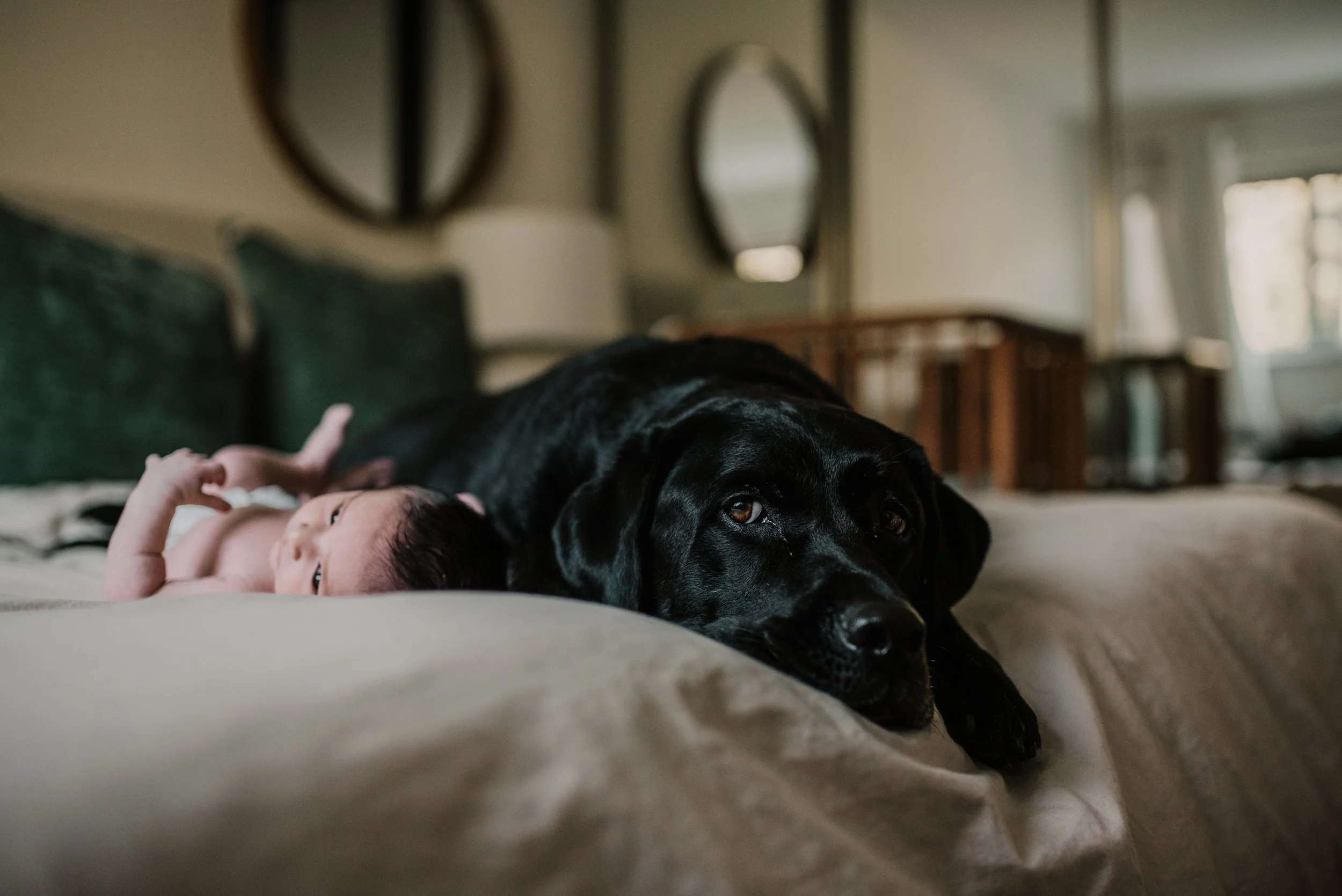 Newborn Photos at home-Why you should skip the studio.