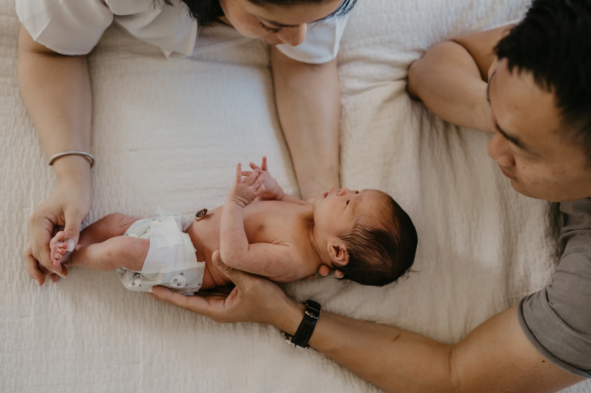 newborn photos in Bellevue home Elizabeth Anderson Photography