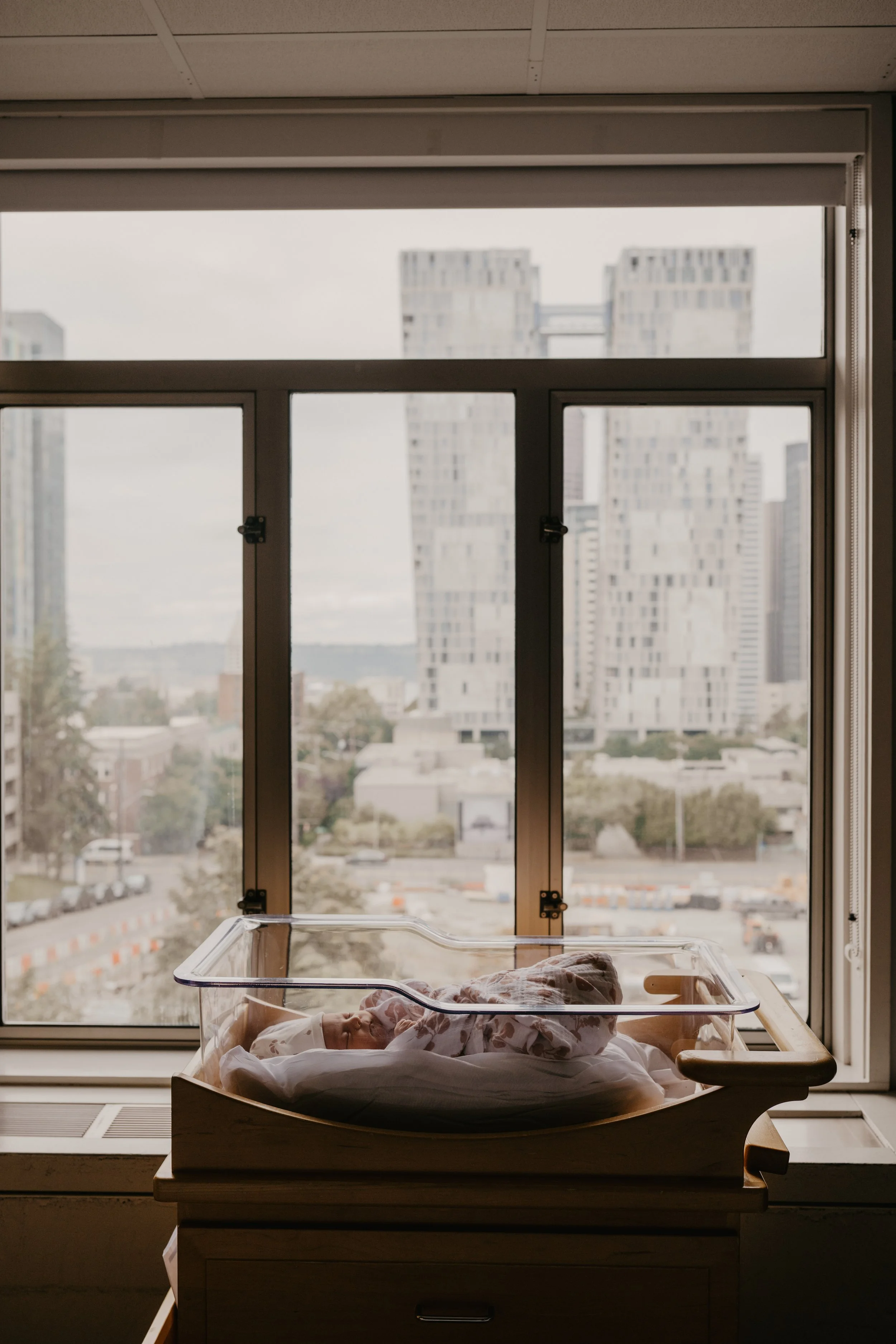 Newborn baby in window with Seattle city skyline backdrop at Swedish Medical Center First Hill-Elizabeth Anderson Photography