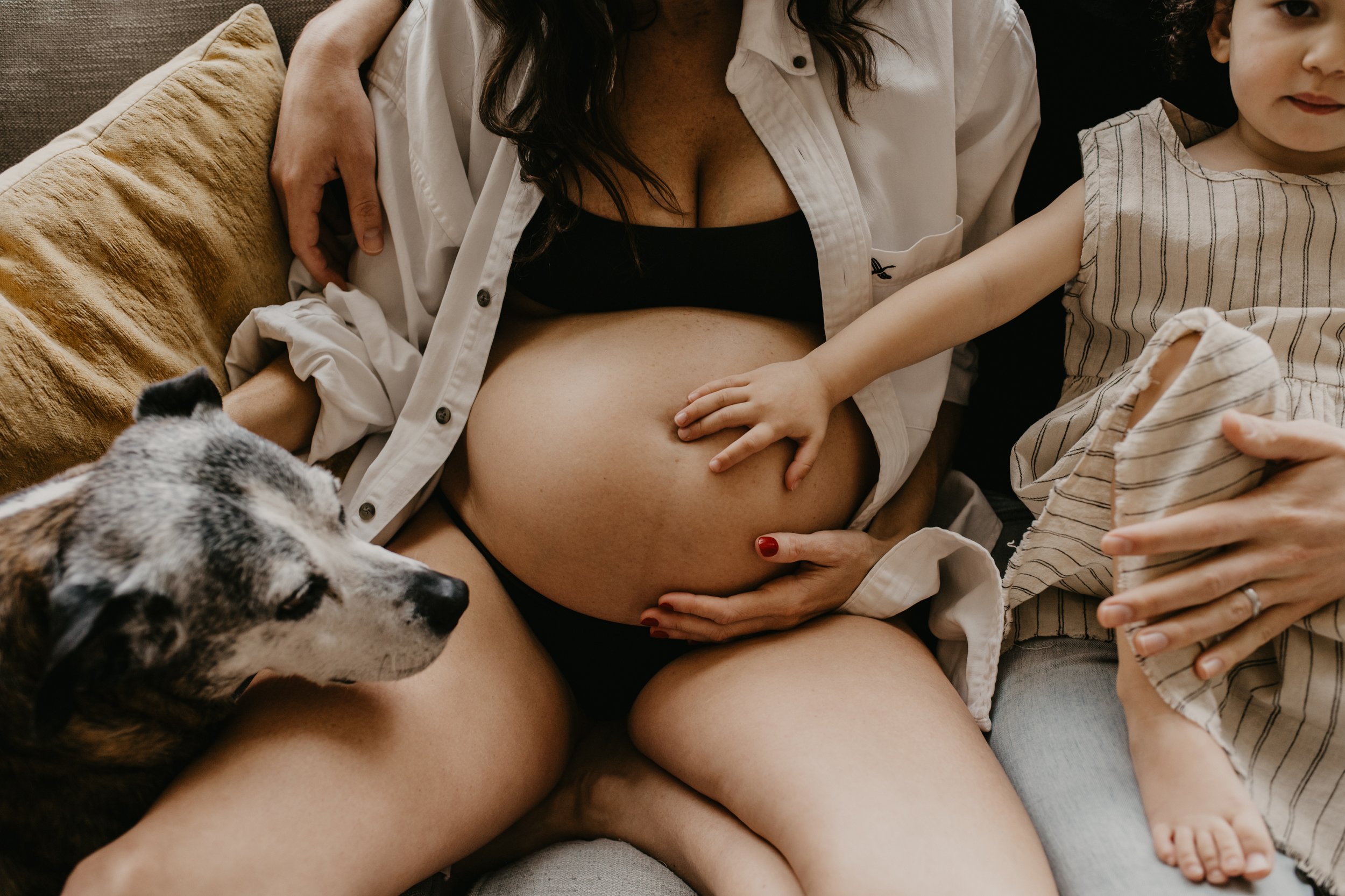 Elizabeth Anderson Photography In home maternity Seattle and Bellevue