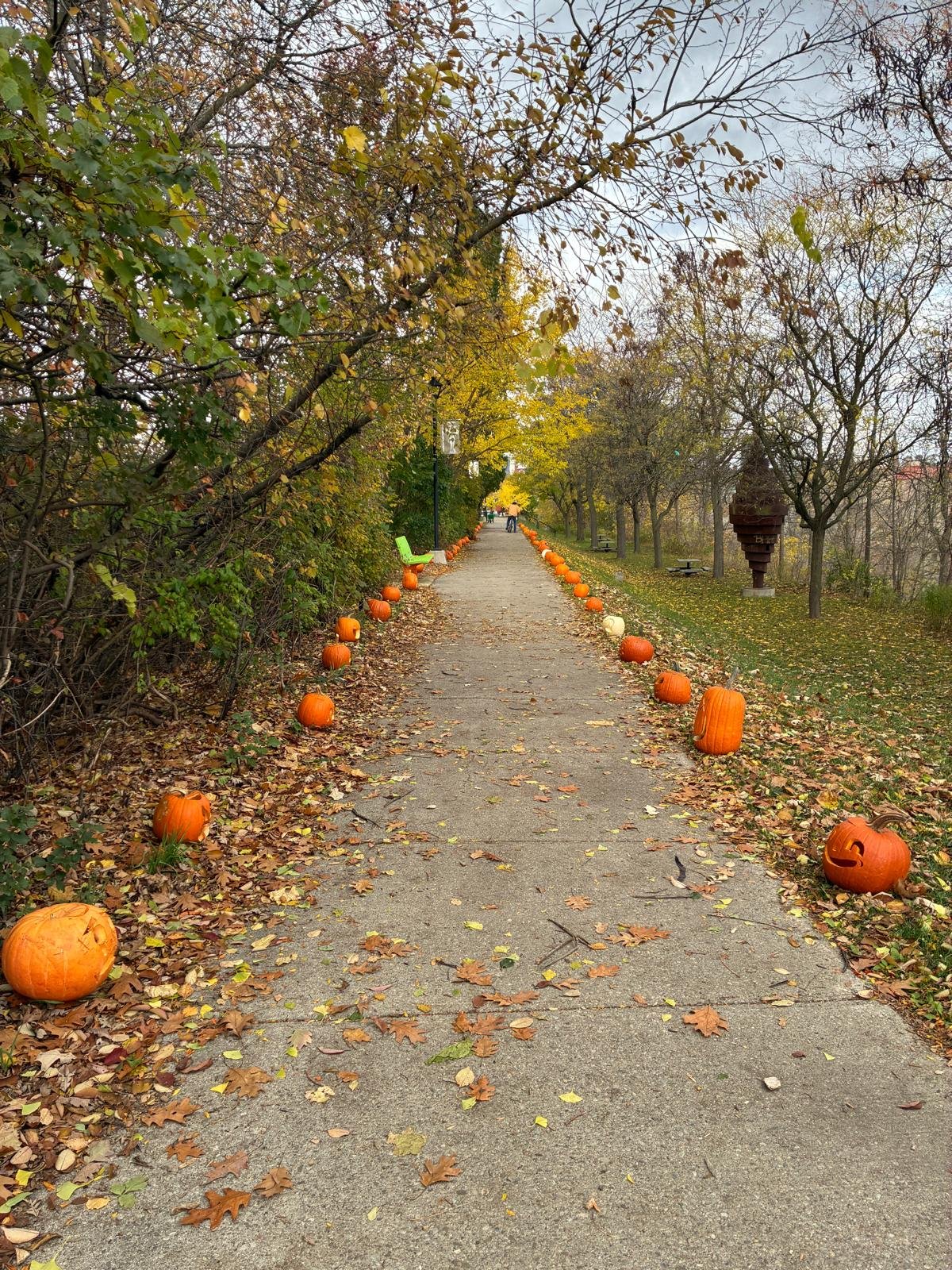 Downtown Cambridge Pumpkin Walk 