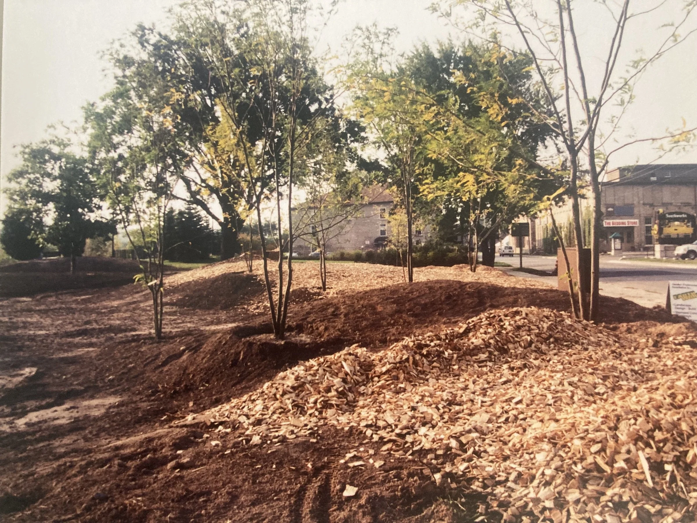 recontouring the garden 2001