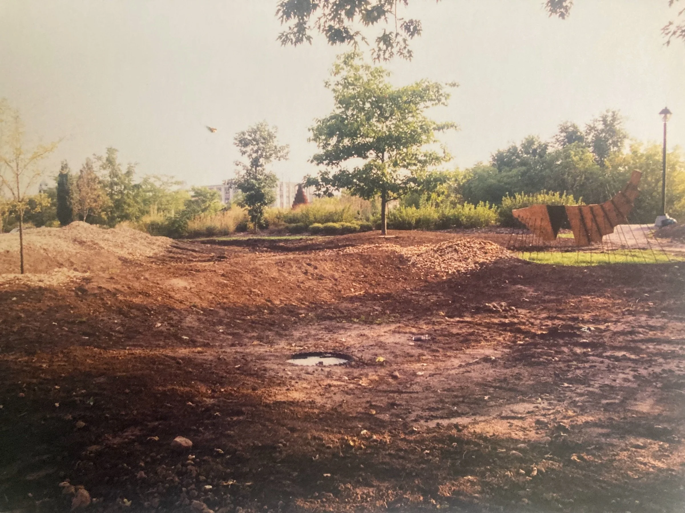 Recontouring garden 2001