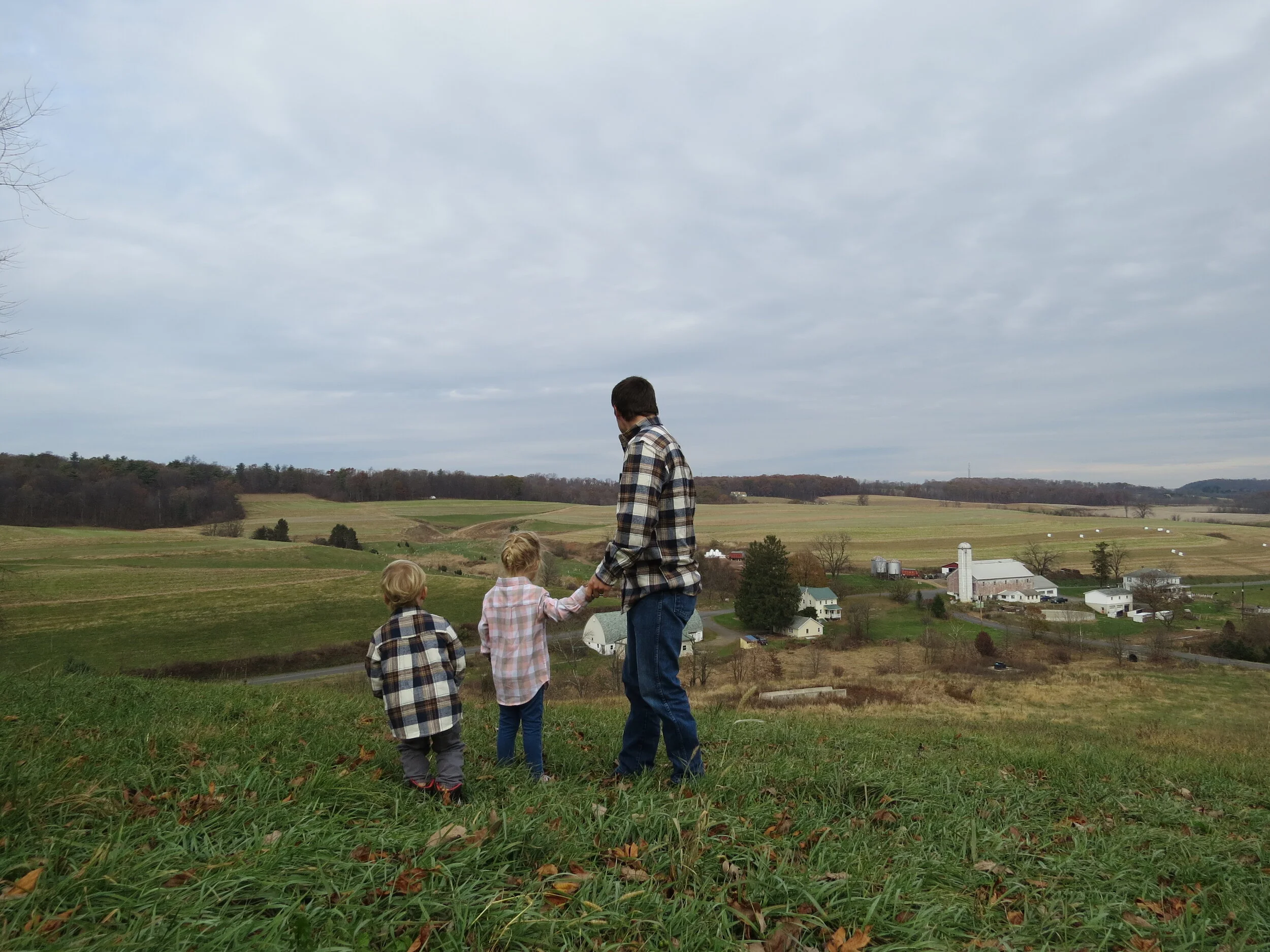About — Honey Brook Farm