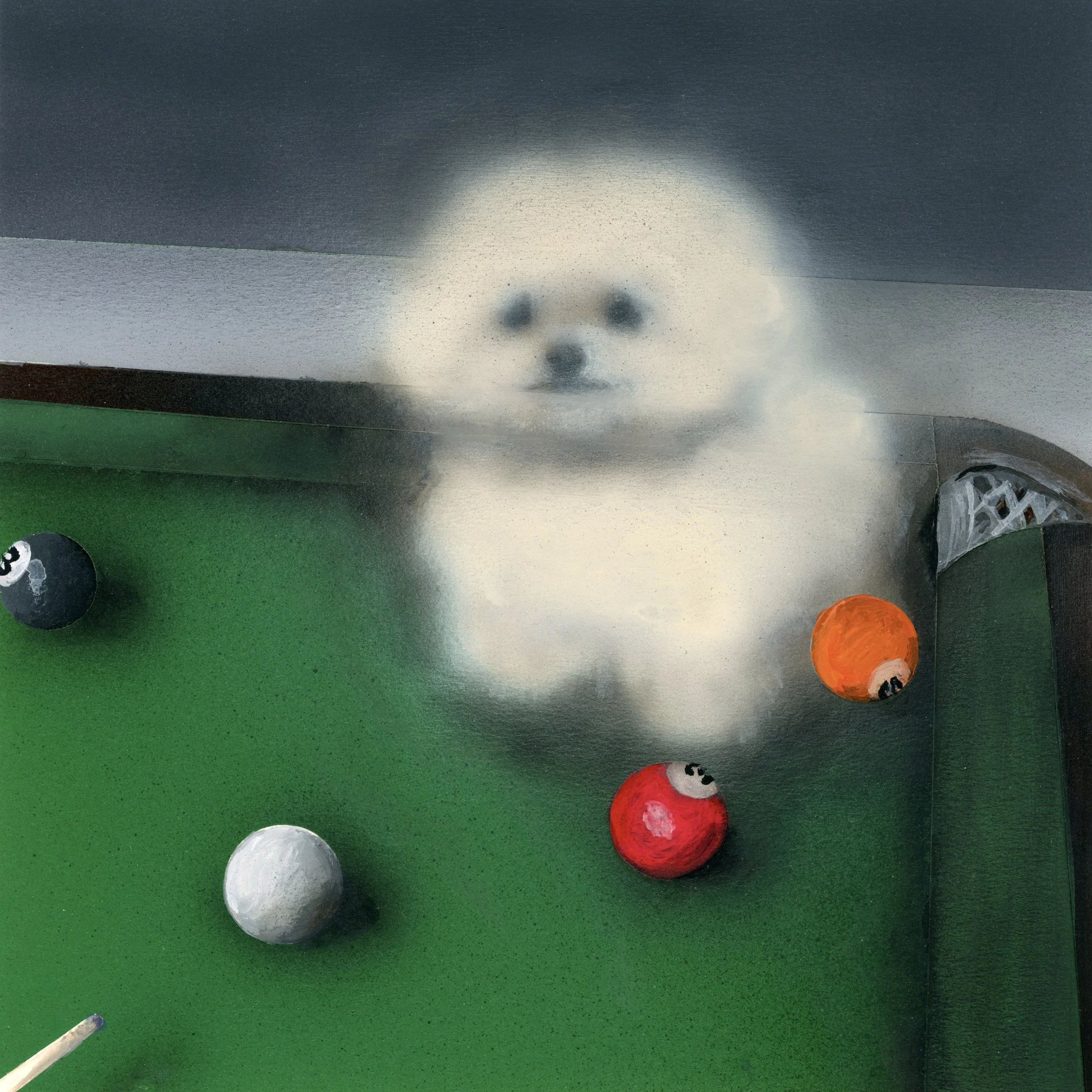 dog meme pool shark