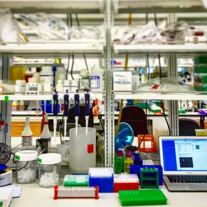 Reilly Lab