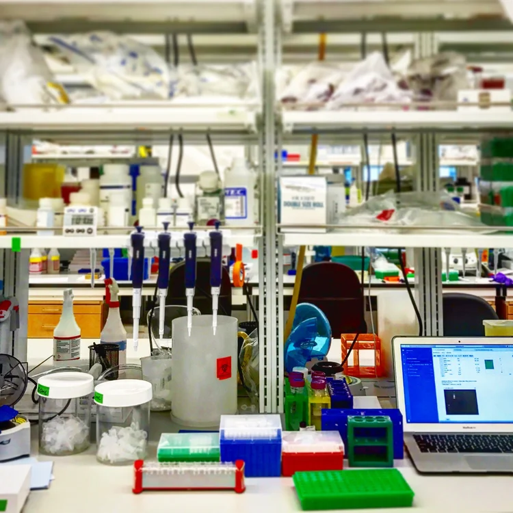 Reilly Lab