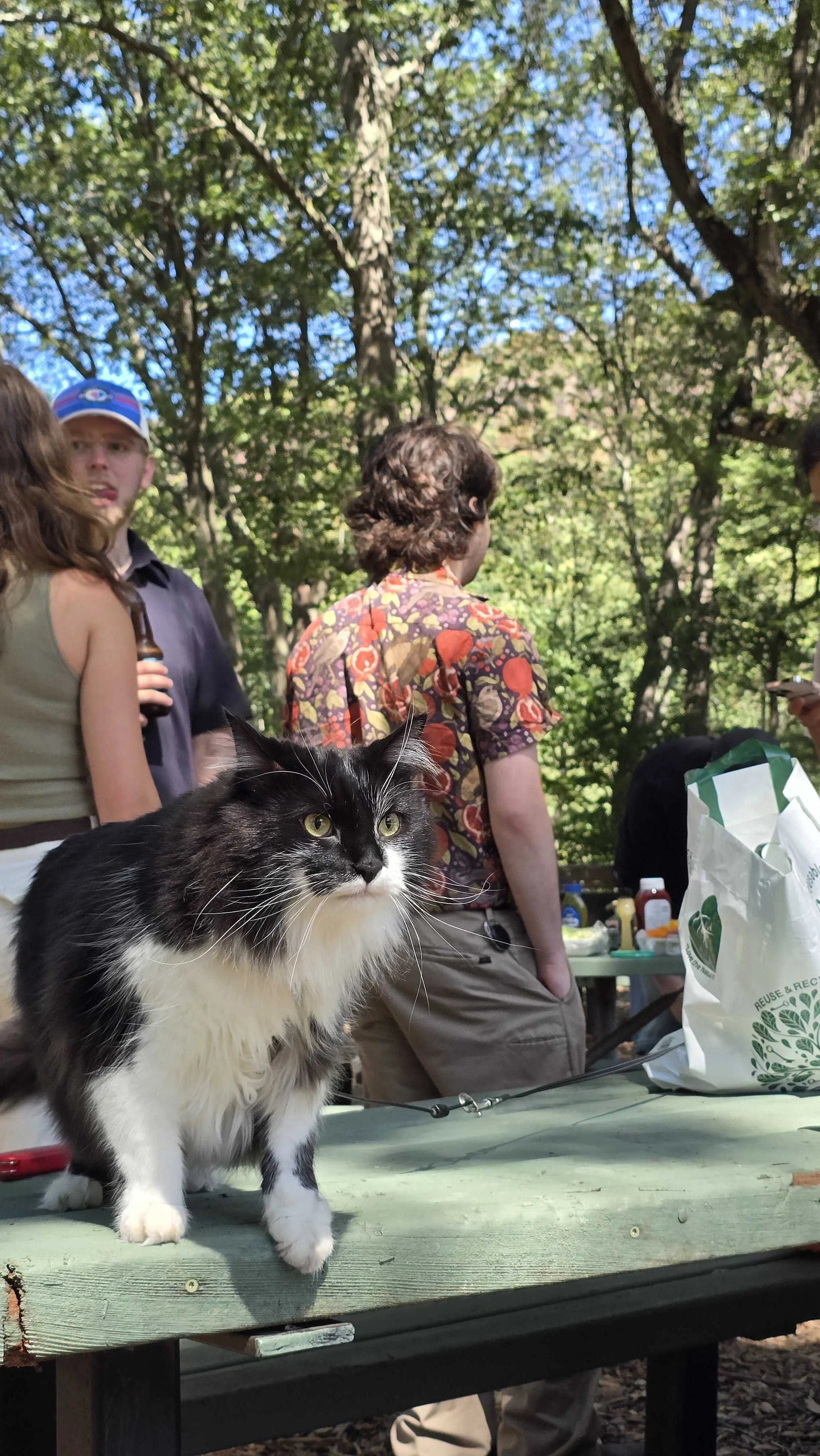 Lab BBQ with TT's Cat