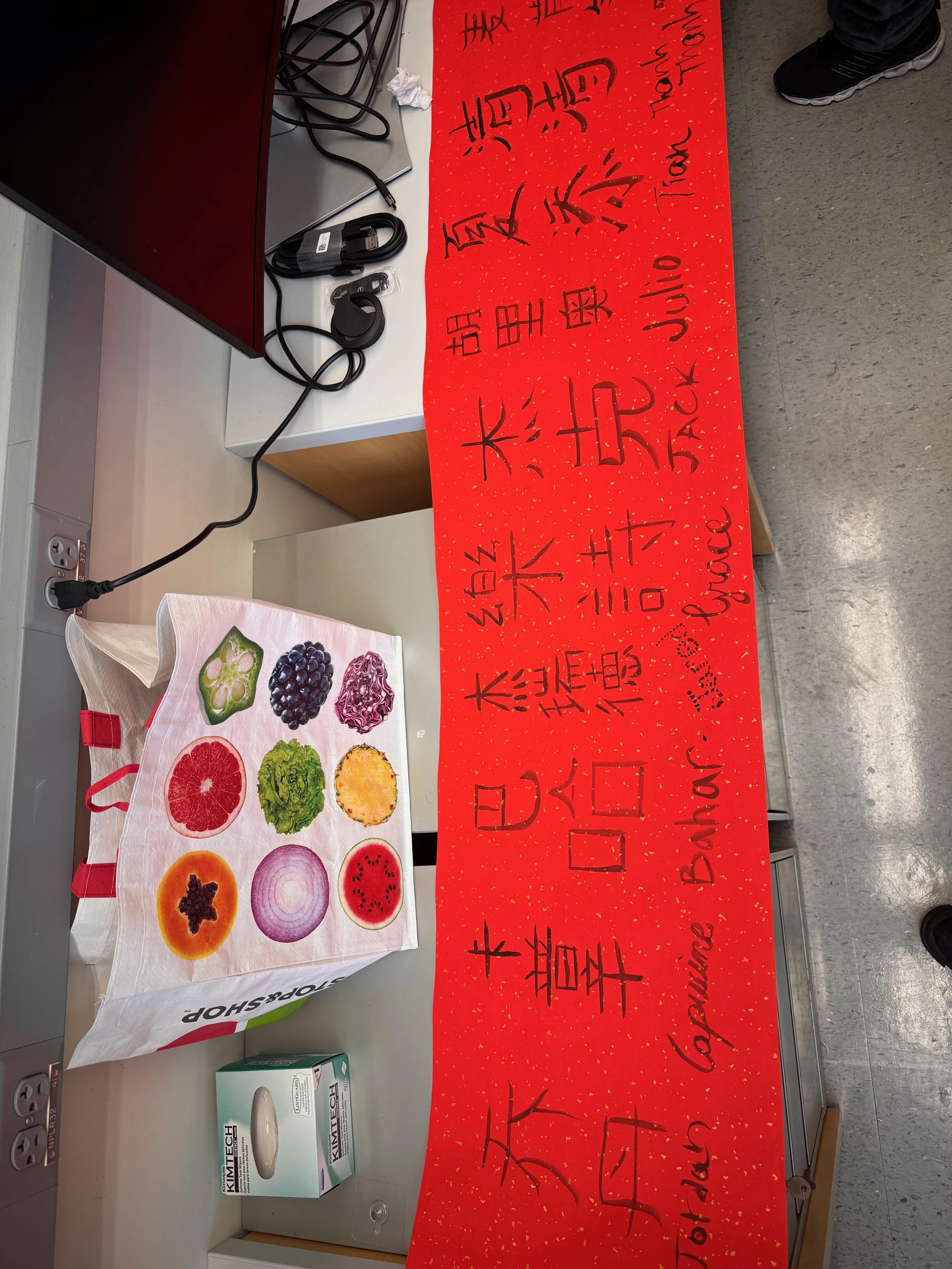 Chinese new year banner 2026