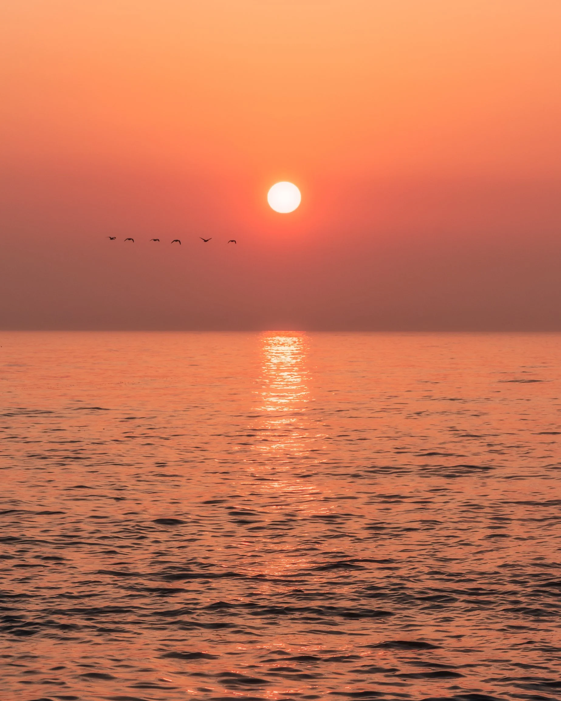 Sunrise at Forty Foot, Dublin