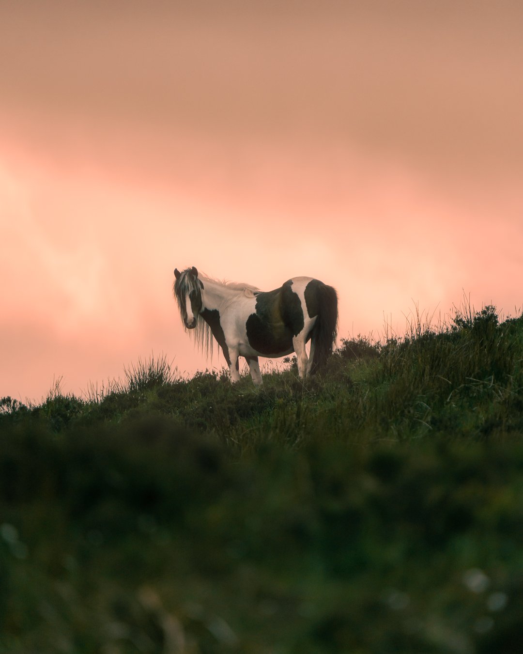 DSC07063-Edit.jpg