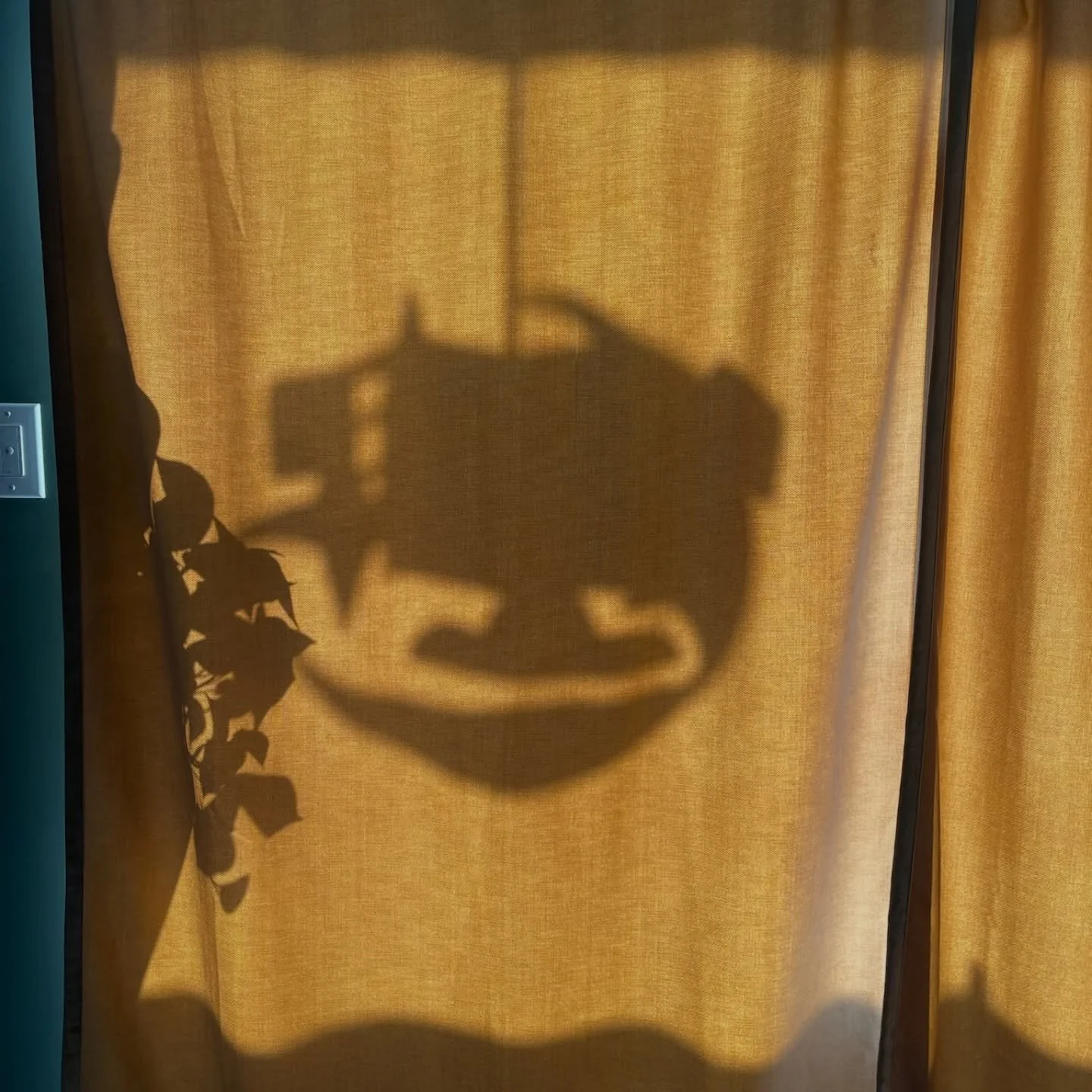 A little reminder that you &amp; your practice are what make these rooms and spaces so special 🥹🫂 our *3* slices of heaven here on the West Side