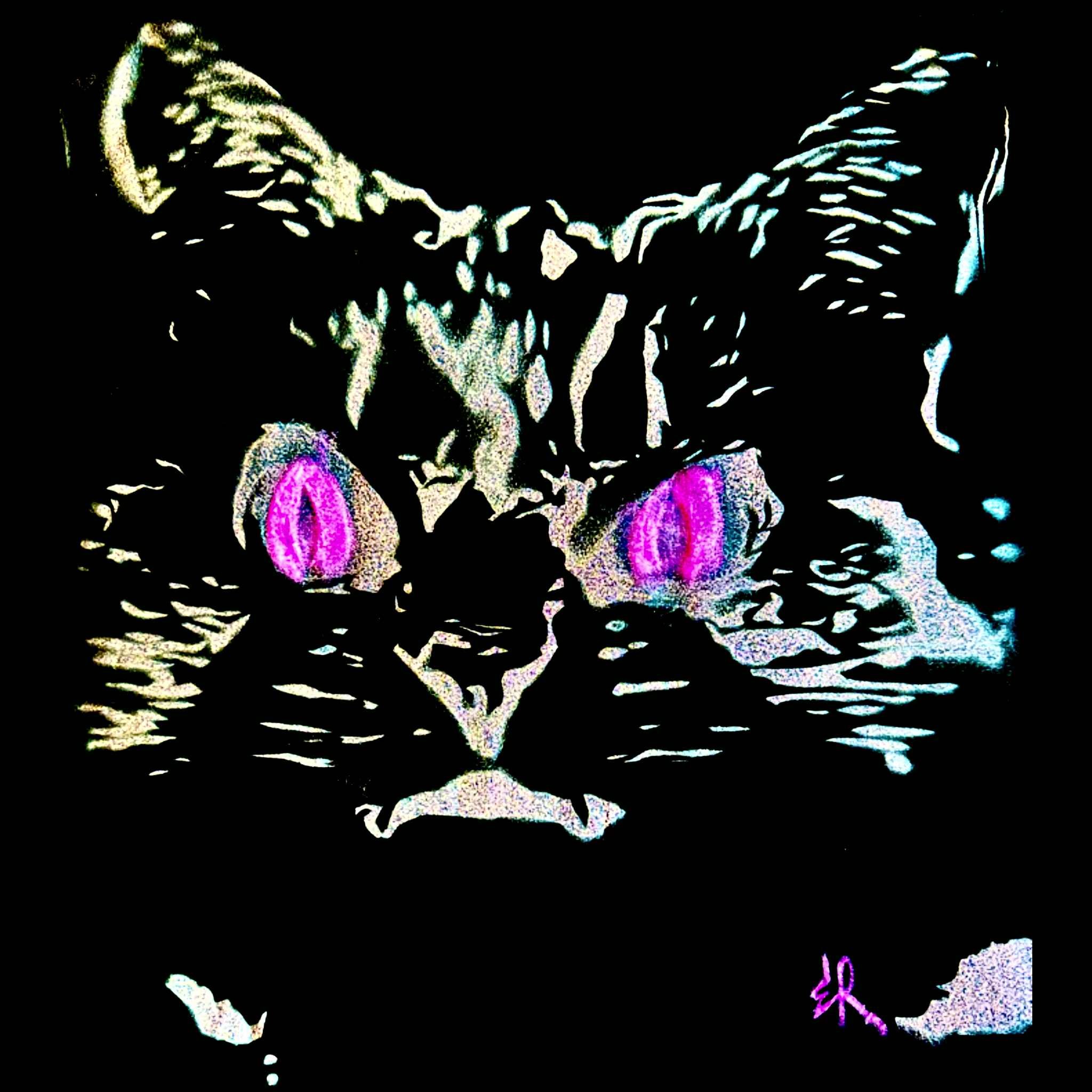 1b51868a-62b8-4a51-80d3-5989d3b4448d.jpeg