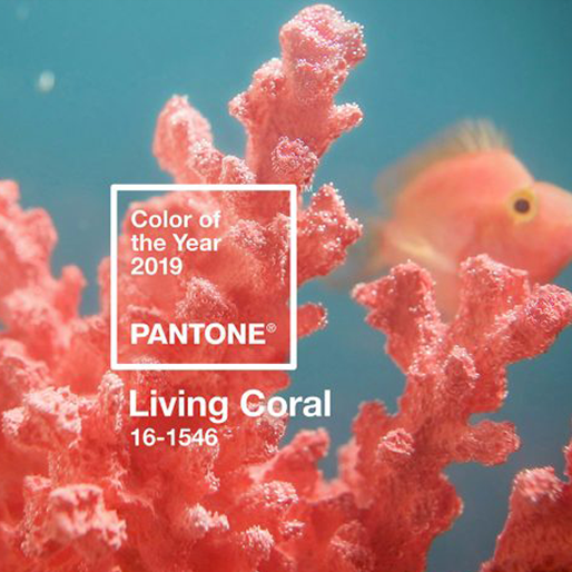 Living Coral; un choix dicté par les réseaux sociaux