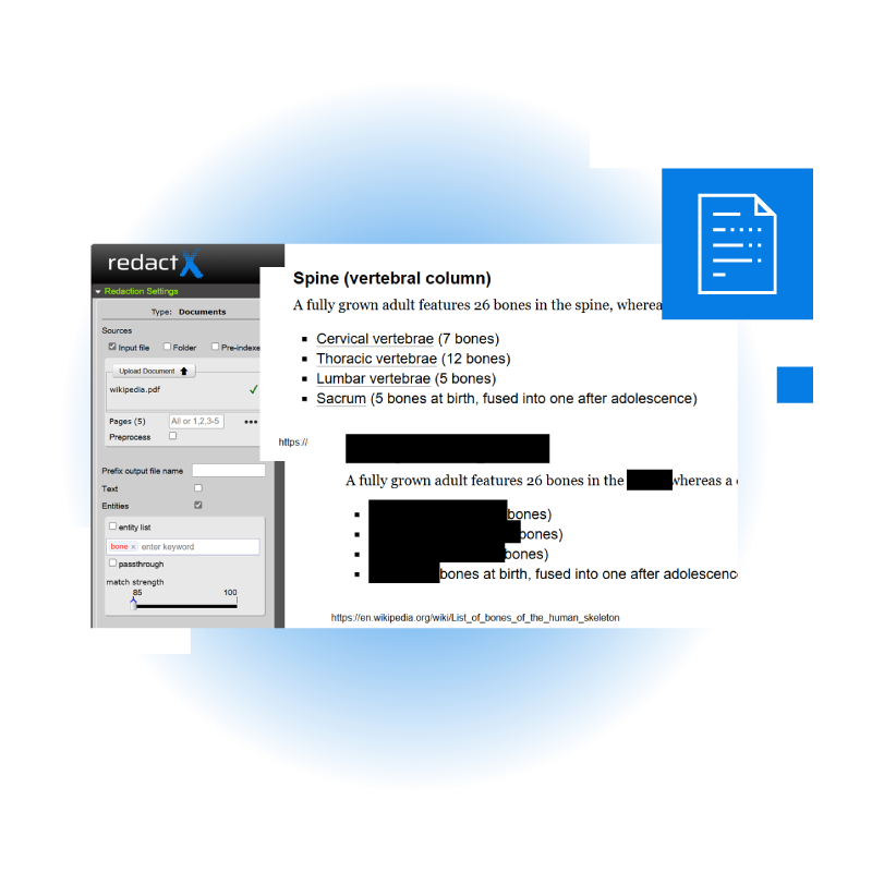 Redact Developer RedactX: Automated Video, Image & Document Redaction Software | redactX