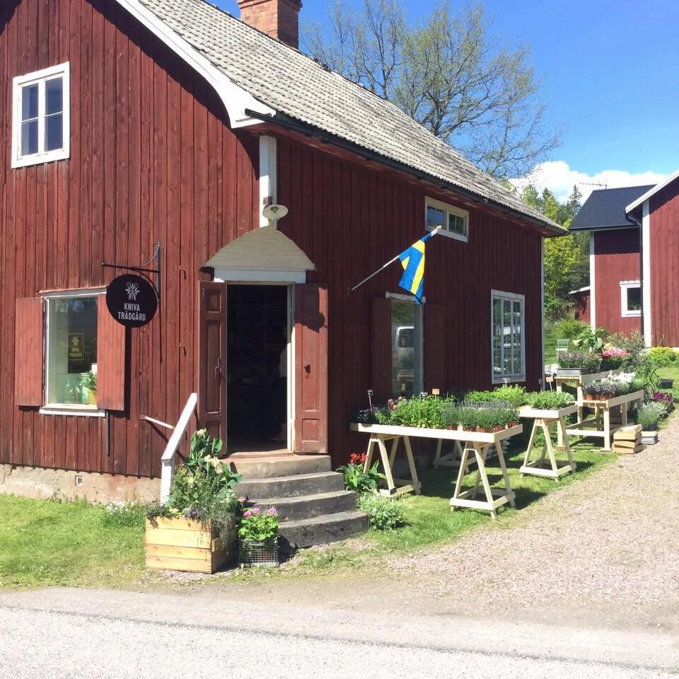 kniva trädgård2.jpeg