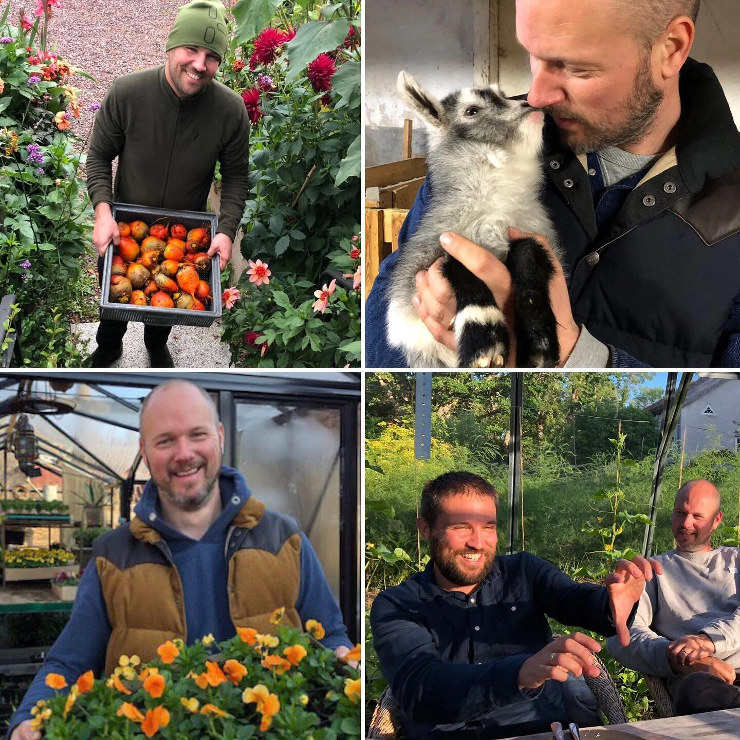 kniva trädgård7.jpeg