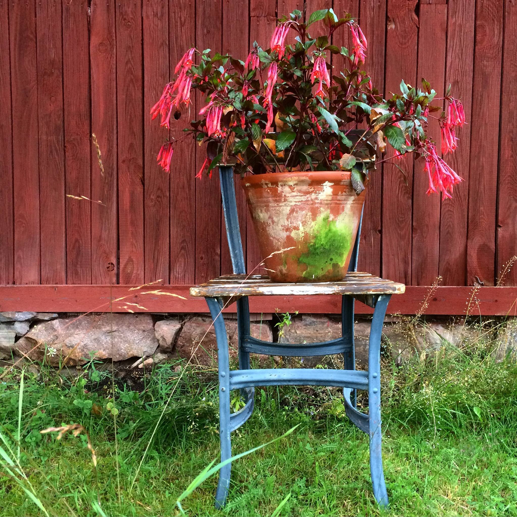 kniva trädgård6.jpeg