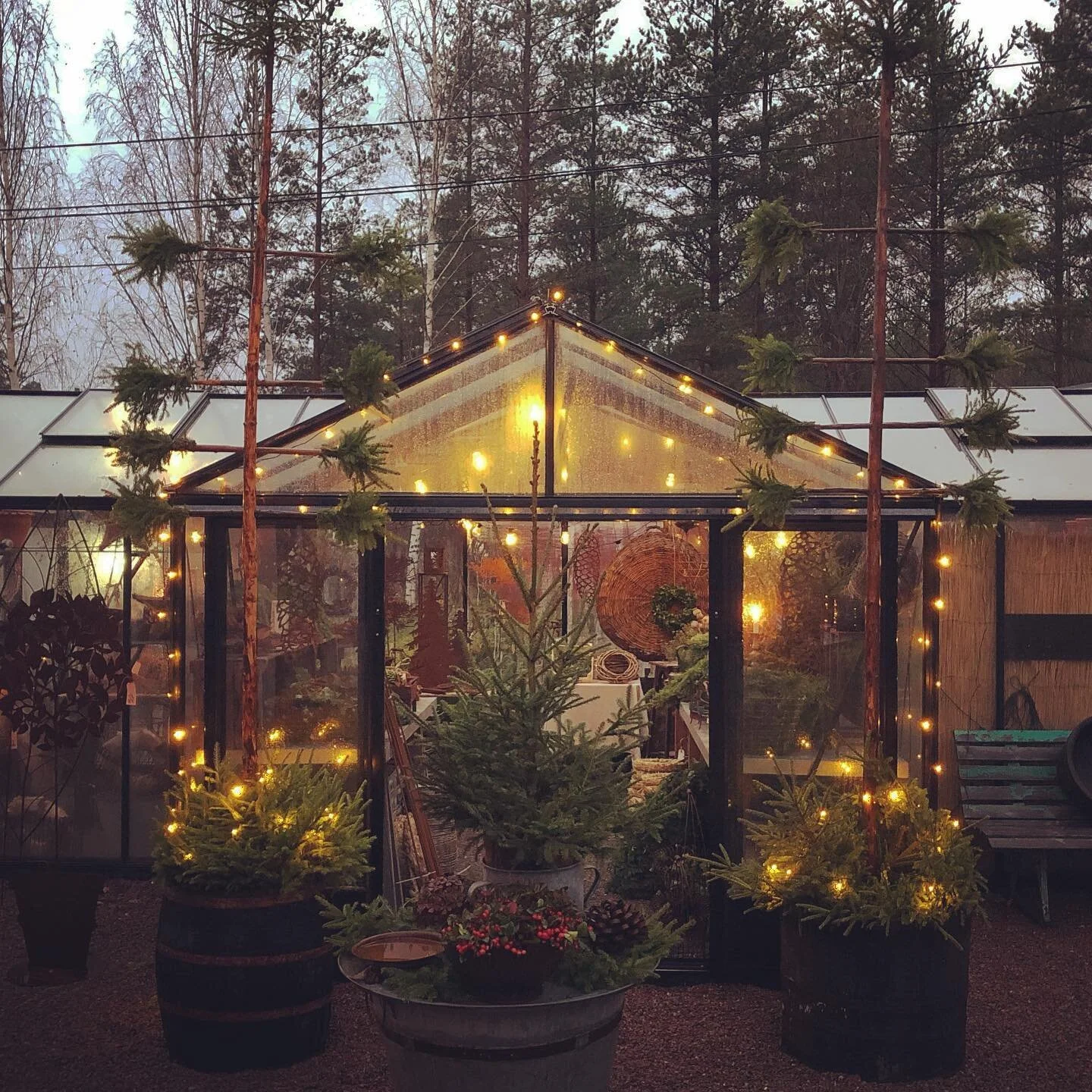 kniva trådgård8.jpeg